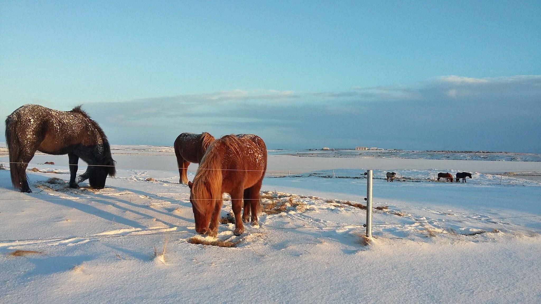 Twin with Shared Bathroom
