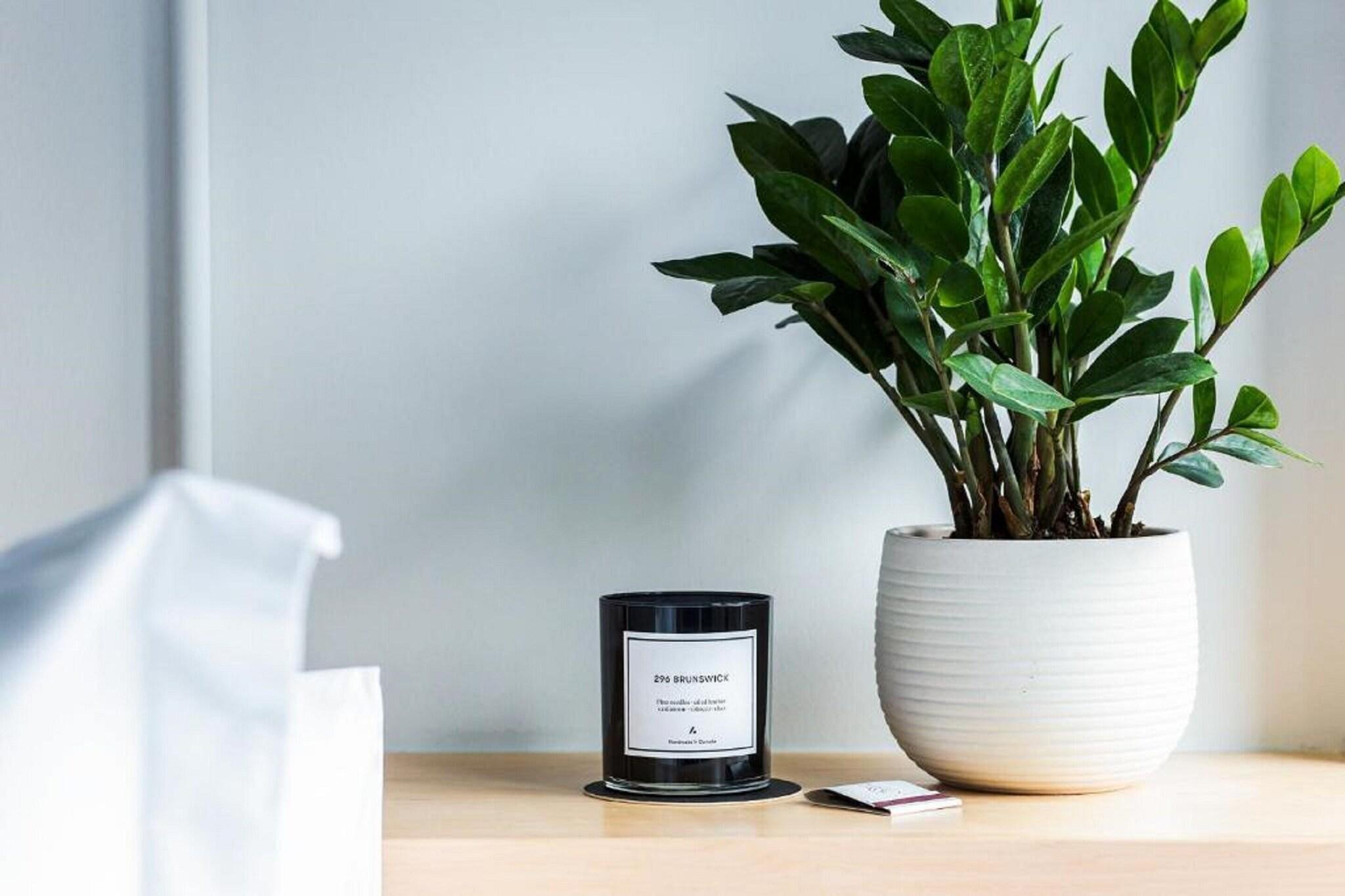 Studio Queen Size Bed