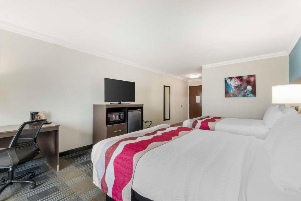 Quadruple Accessible