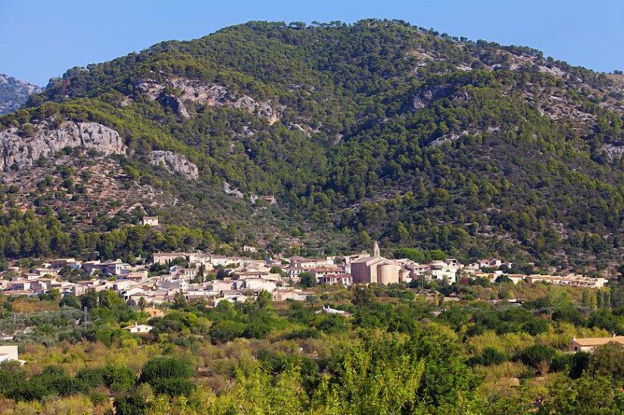 General View