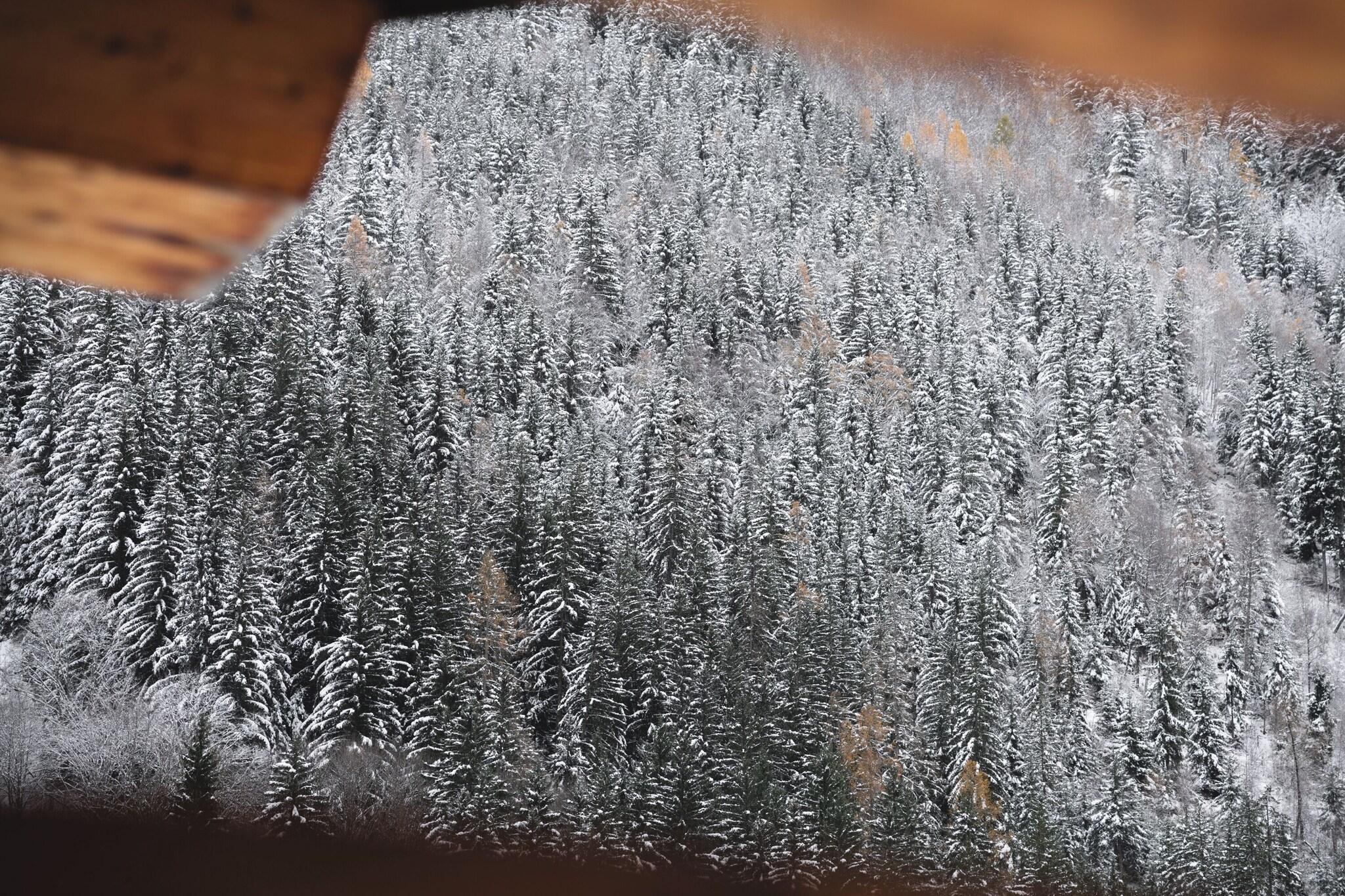 Apartment Three Beds