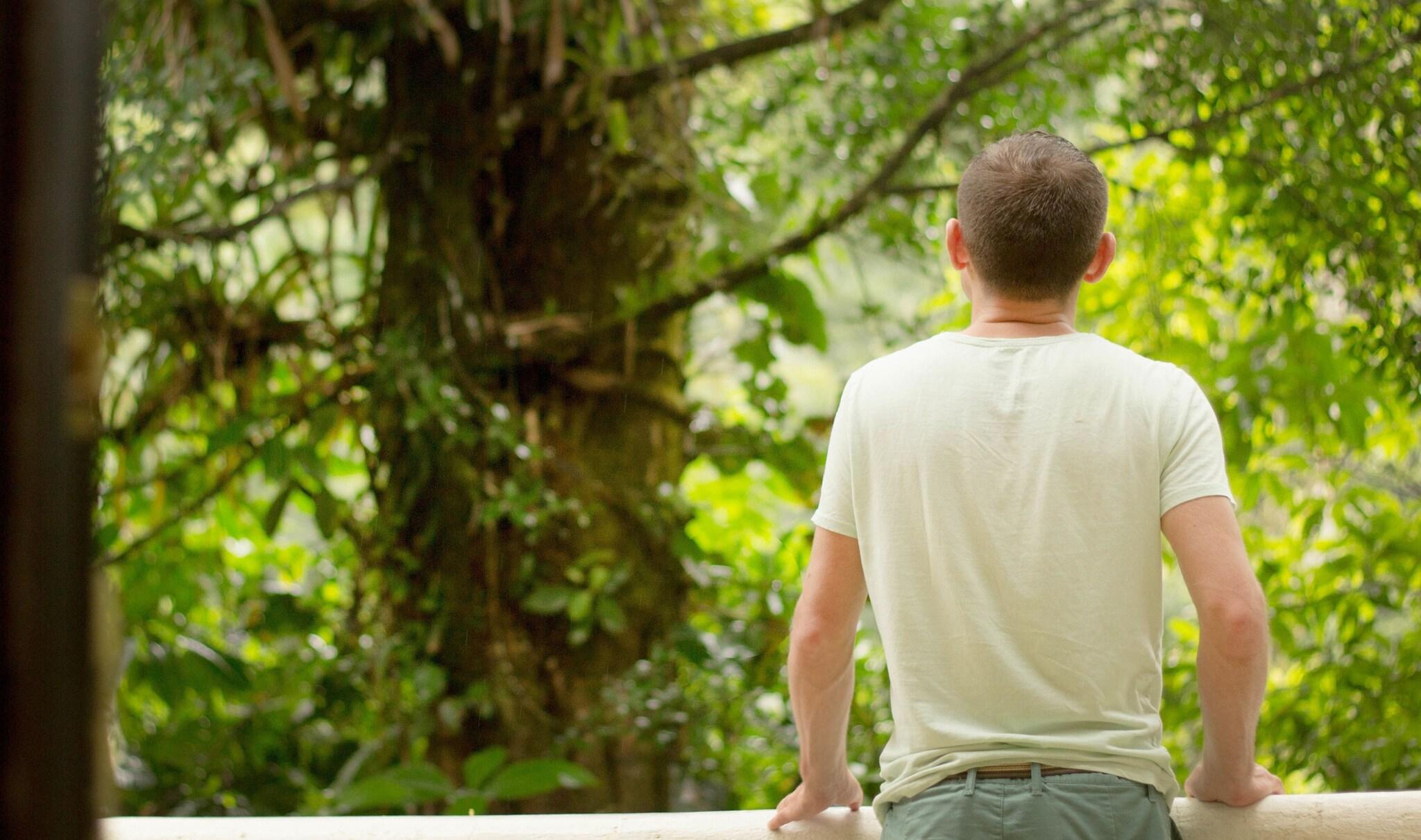 Quadruple Two Queen Beds Premium