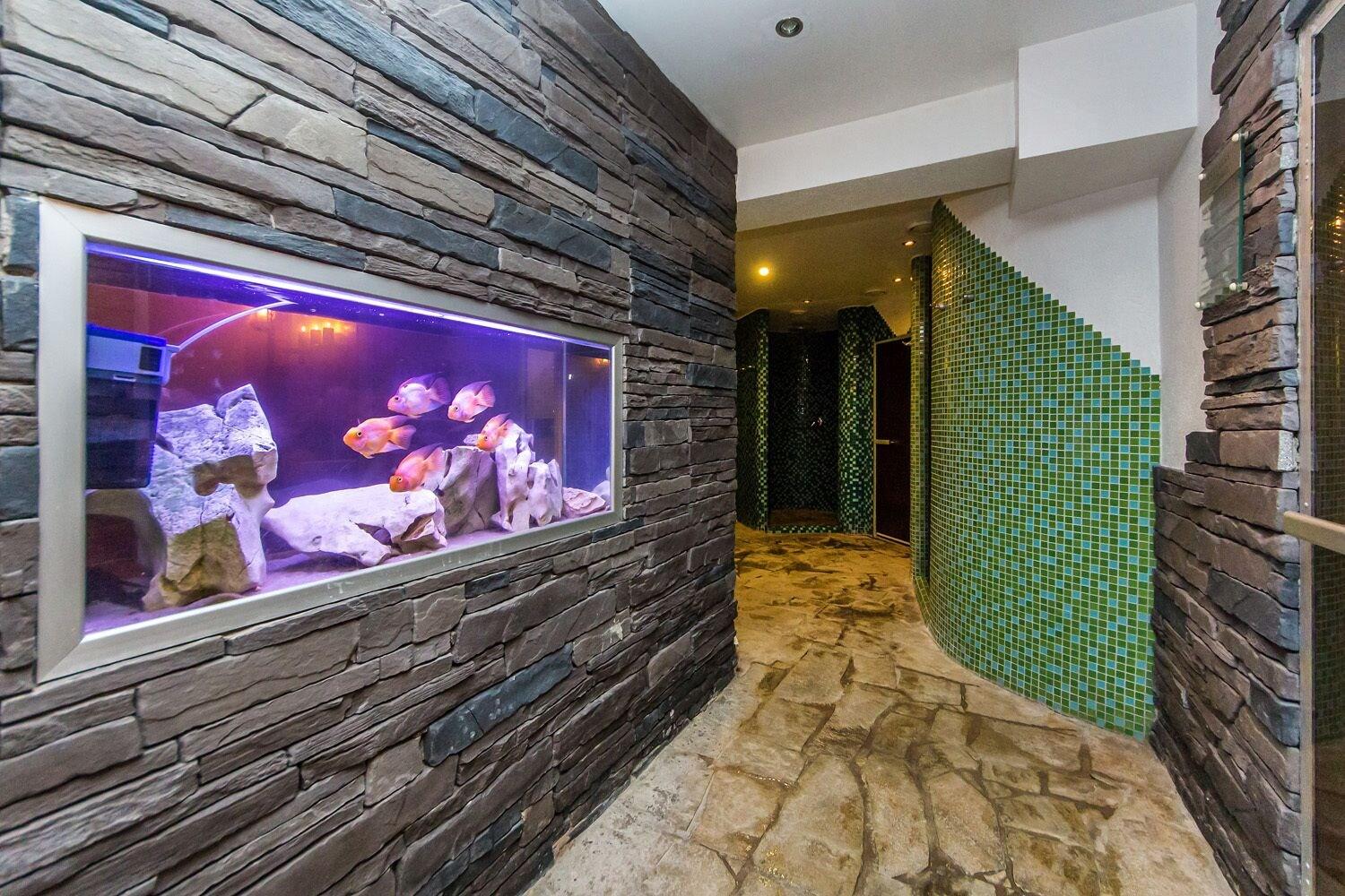 Sports and Entertainment