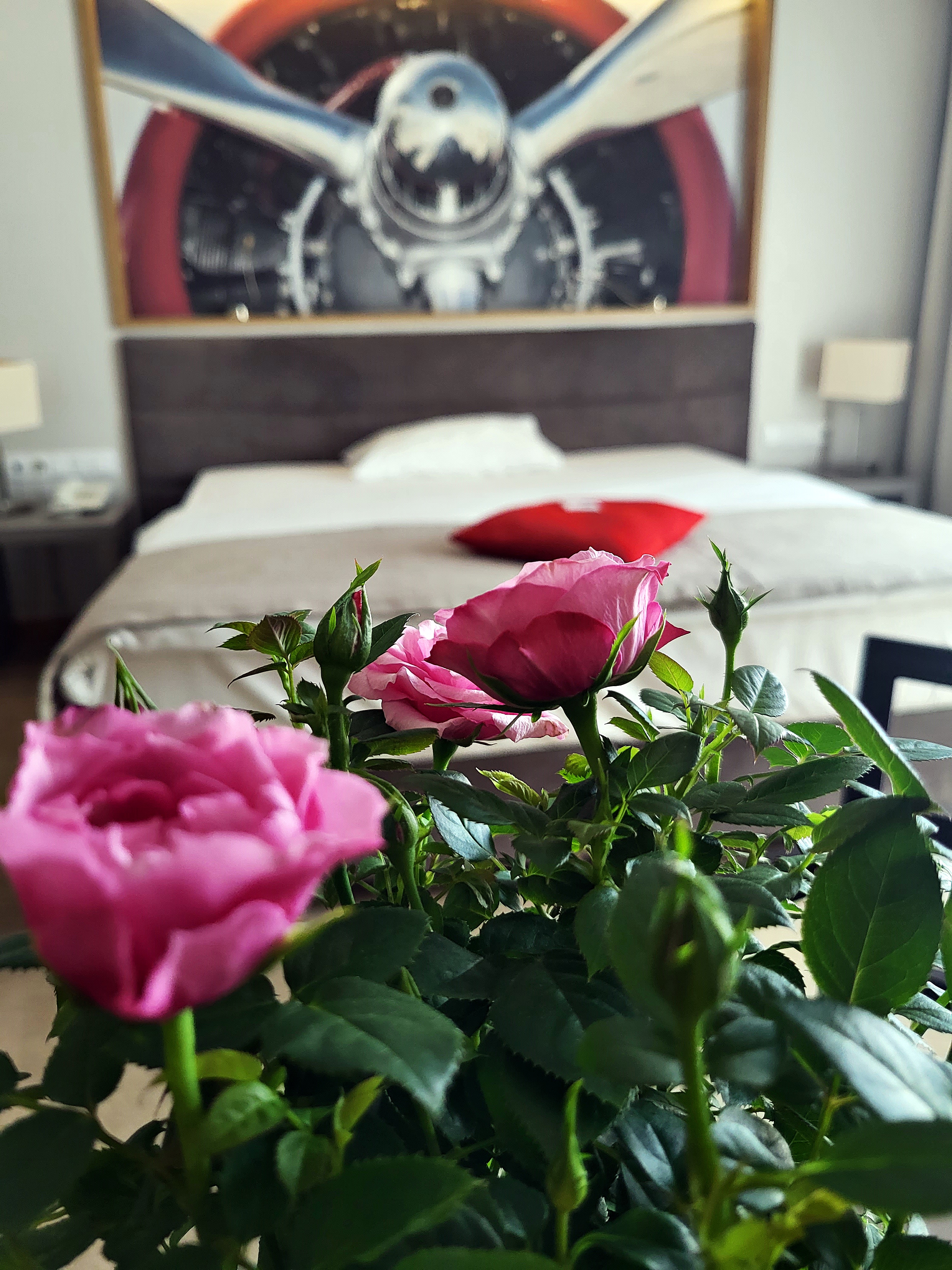 Double or Twin Comfort