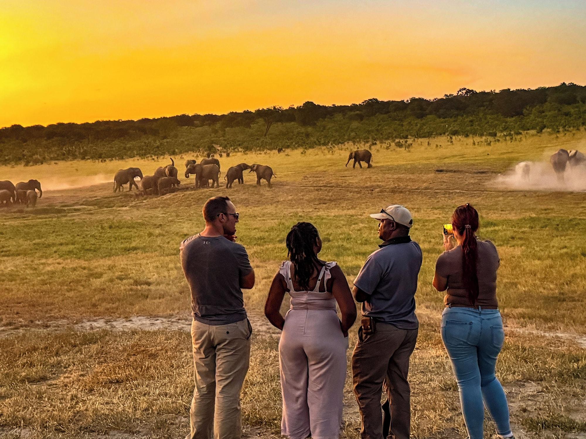 Sports and Entertainment