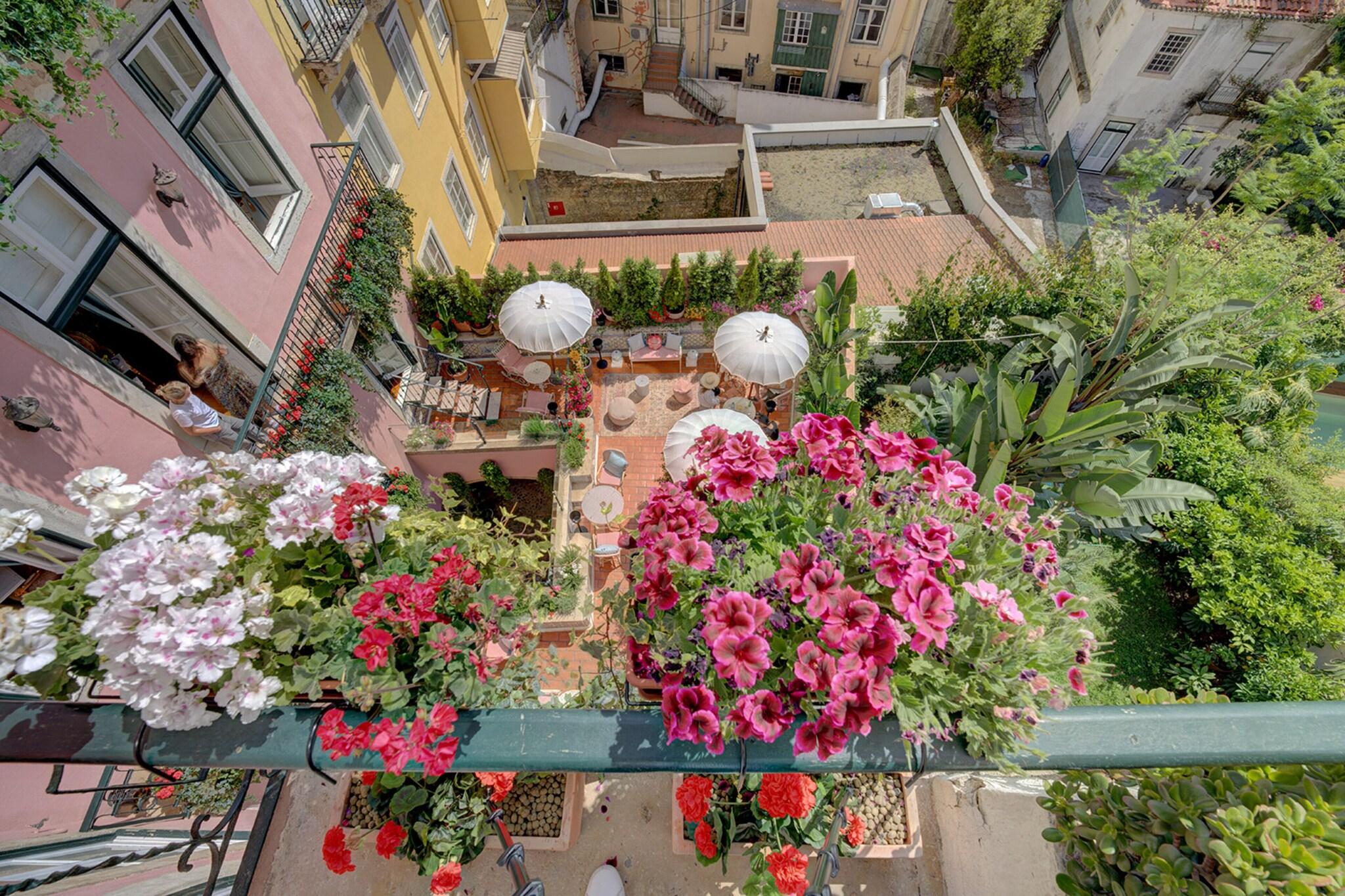 Double Queen Size Bed