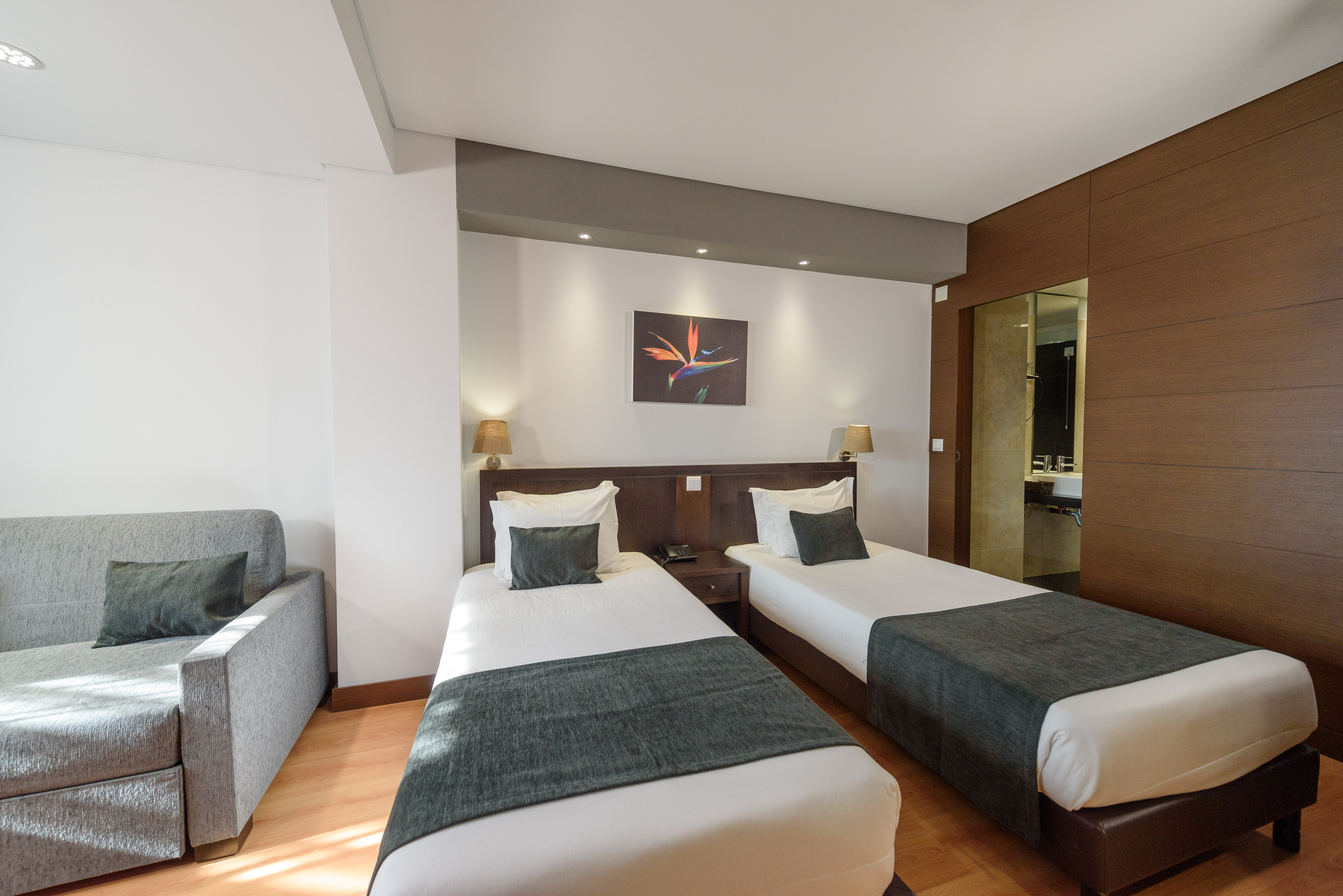 Family Room Deluxe Capacity 4