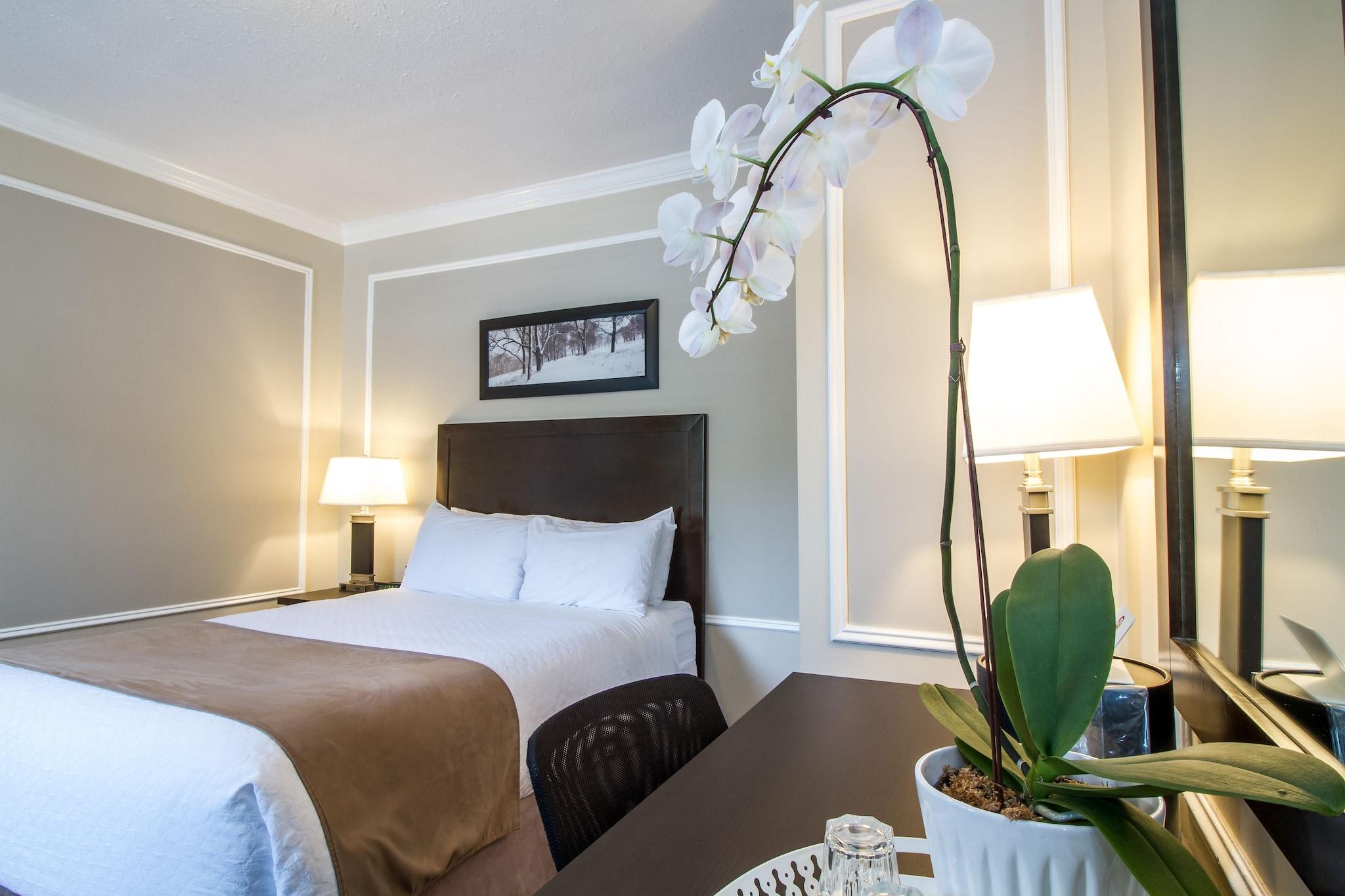 Double Executive Queen Bed