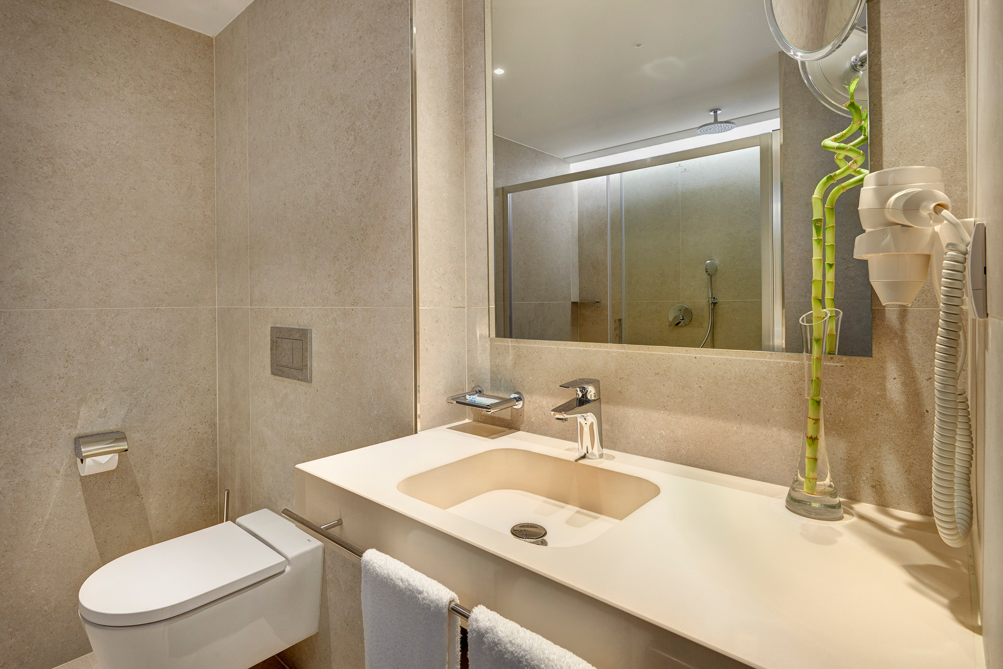 Double or Twin Economy