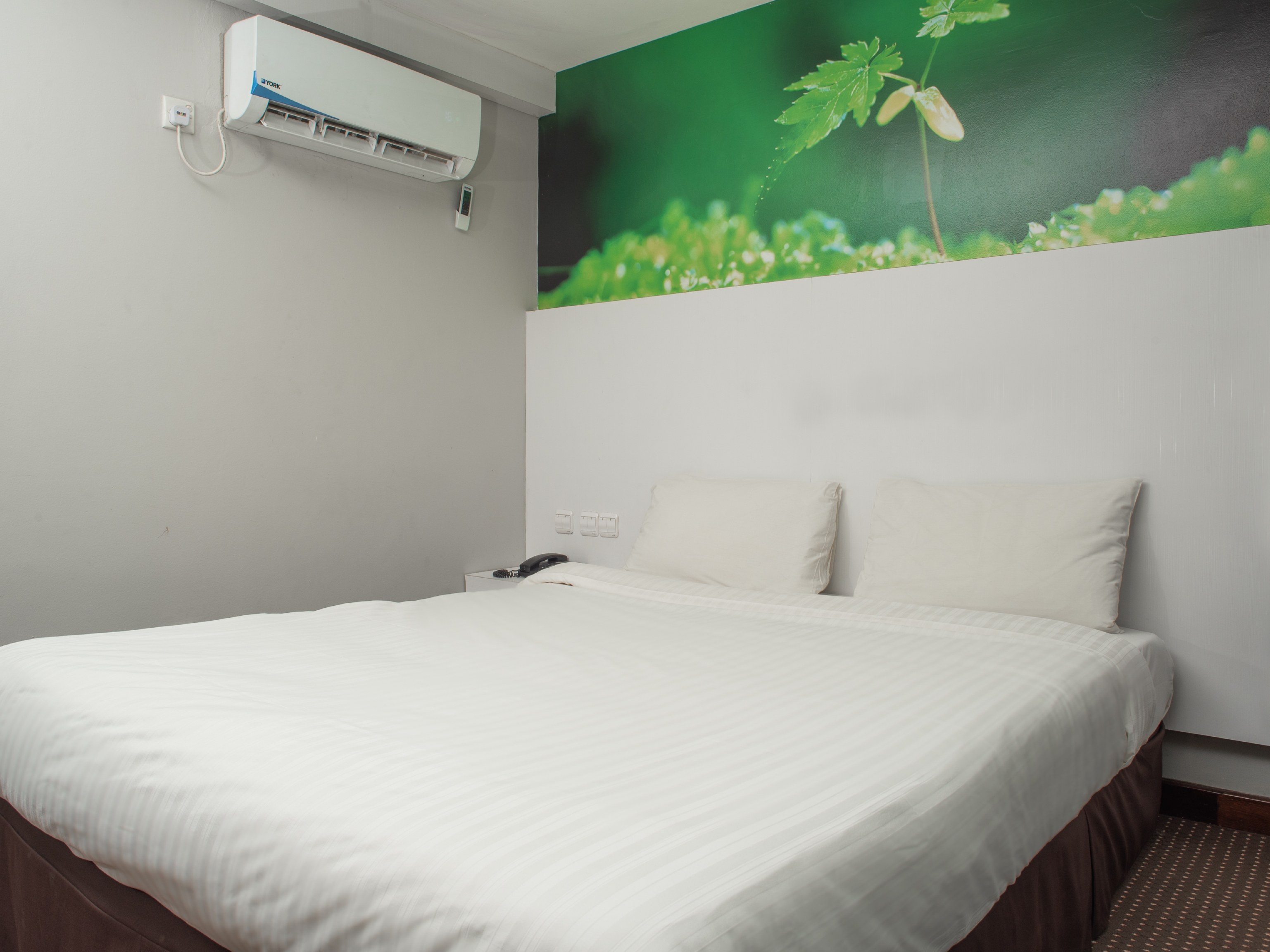 Double King Size Bed