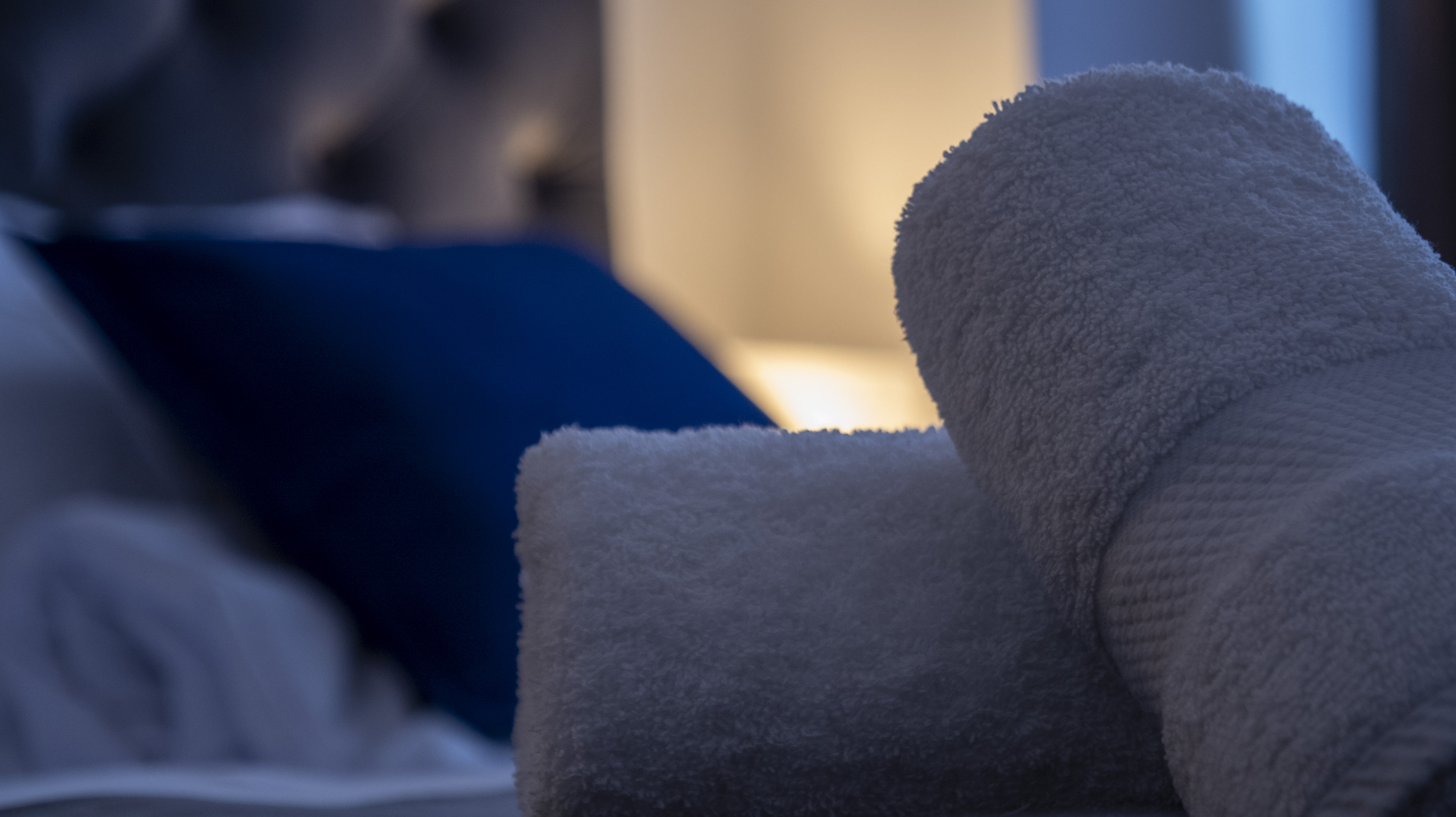 Double or Twin Deluxe