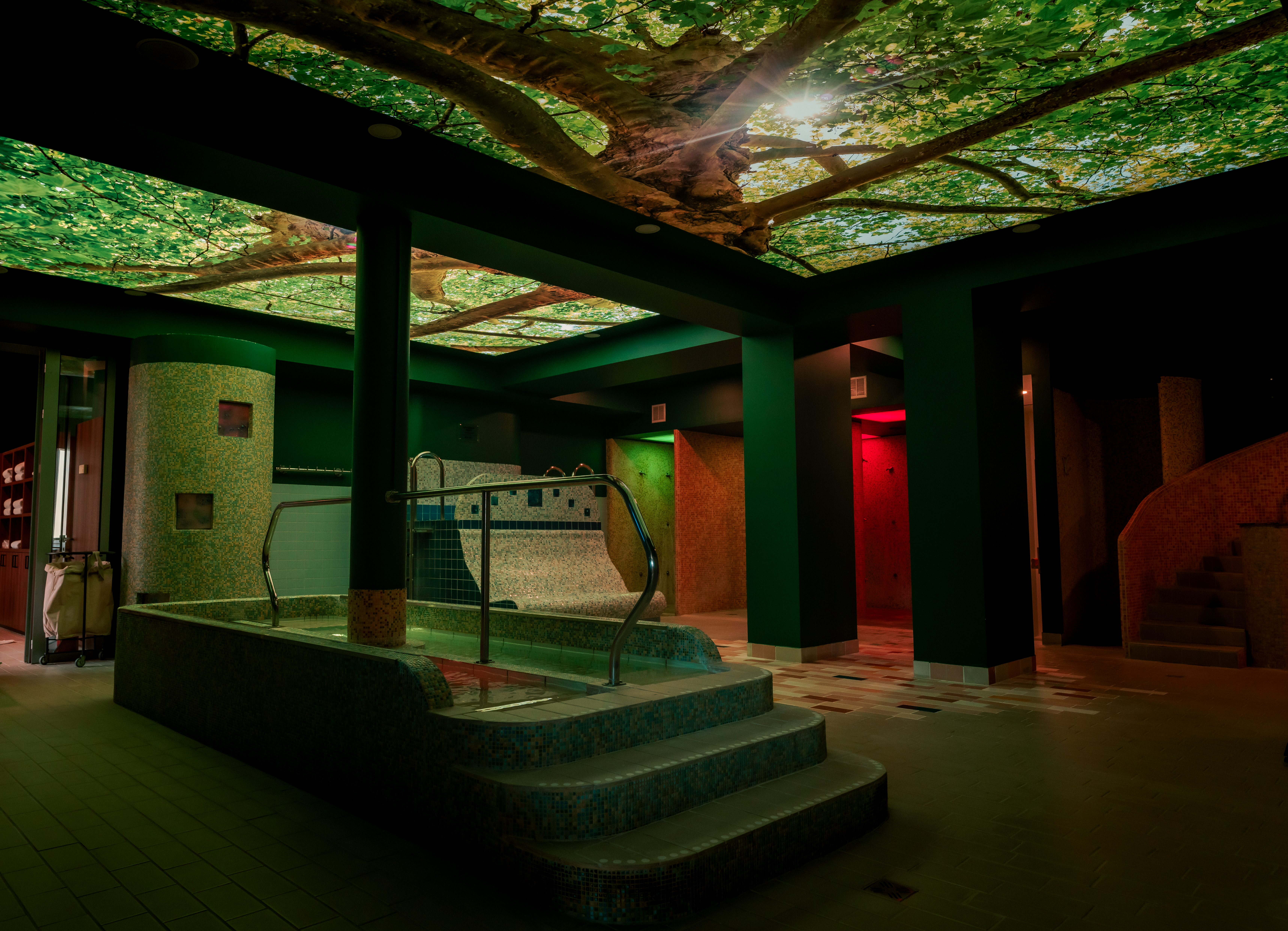 Sports and Entertainment