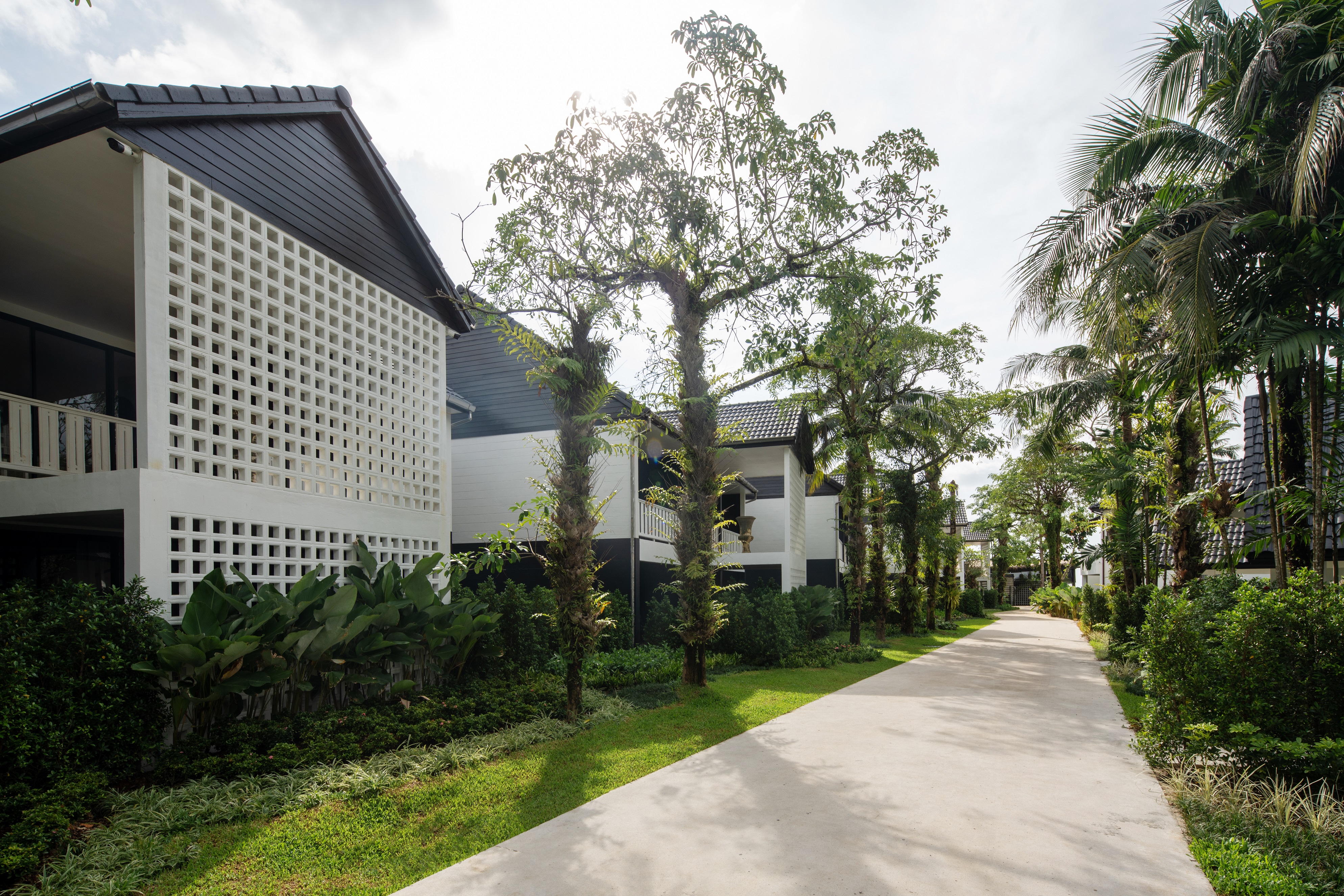 Double or Twin Superior