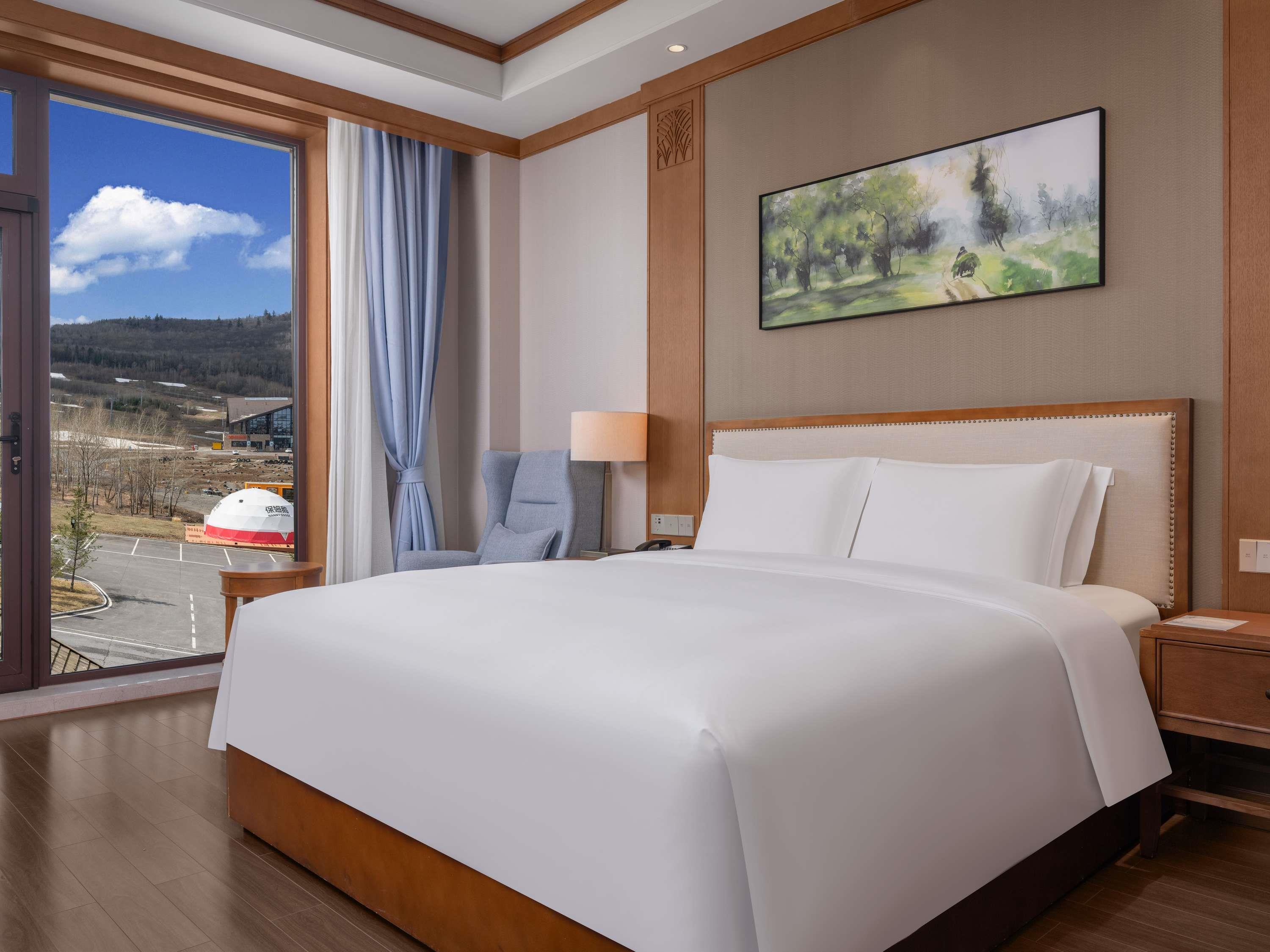 Suite King Bed One Bedroom 