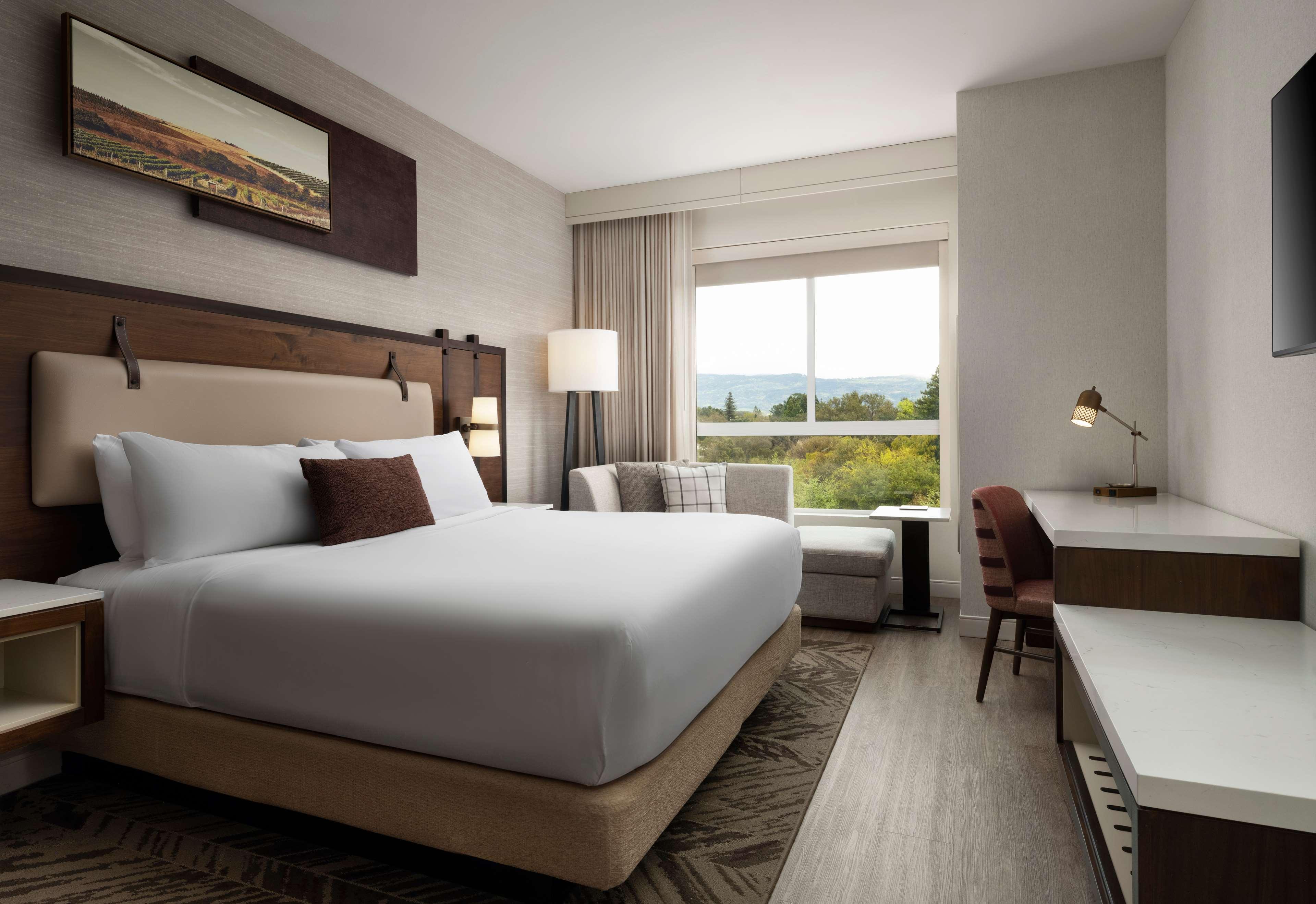 Room Accessible King Size Bed