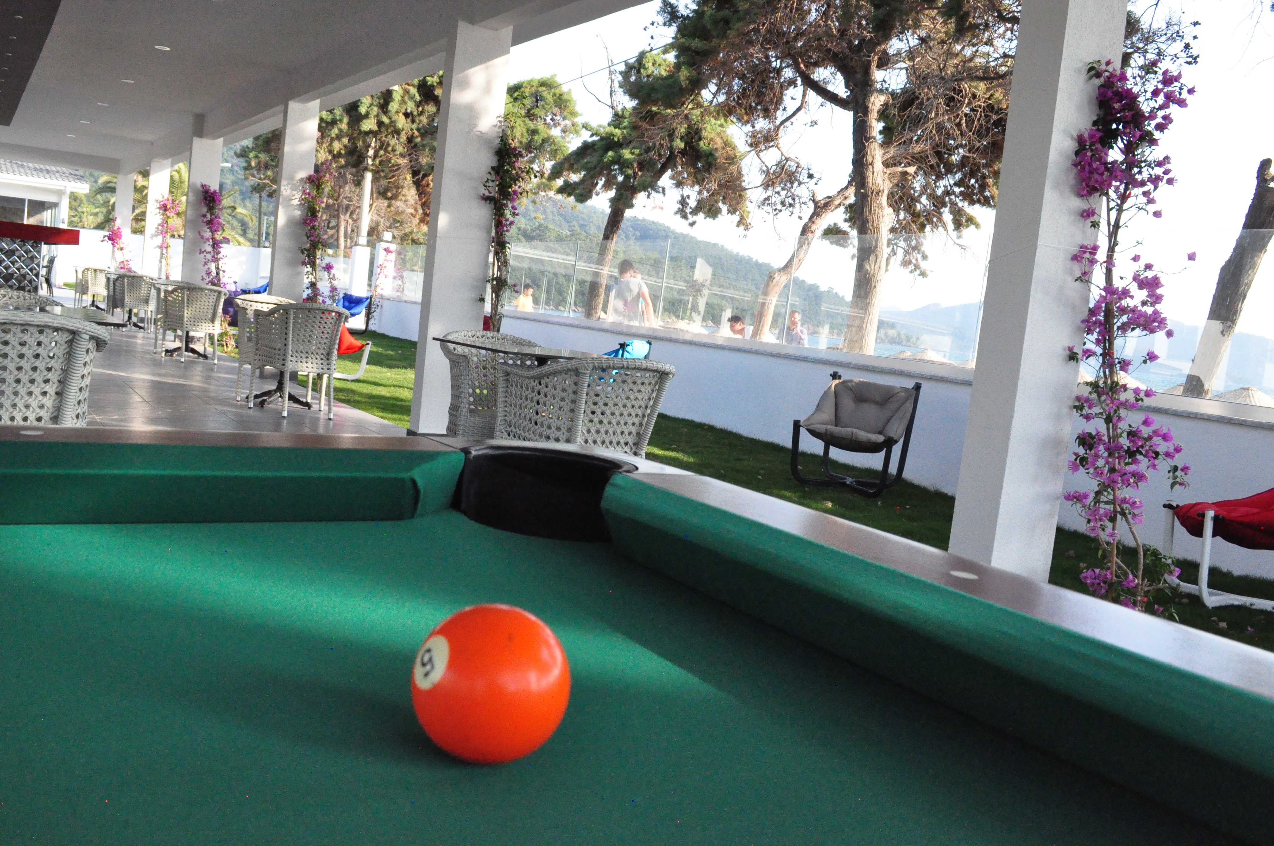 Sports and Entertainment