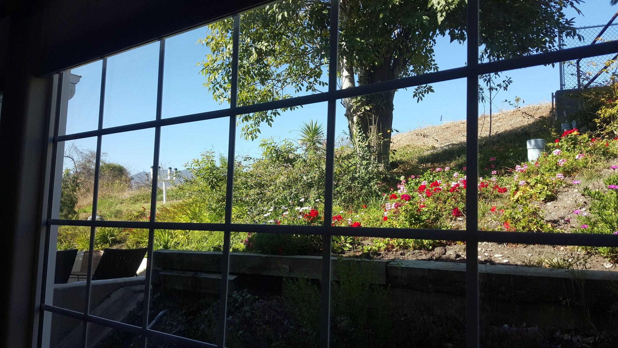 Double Mountain View