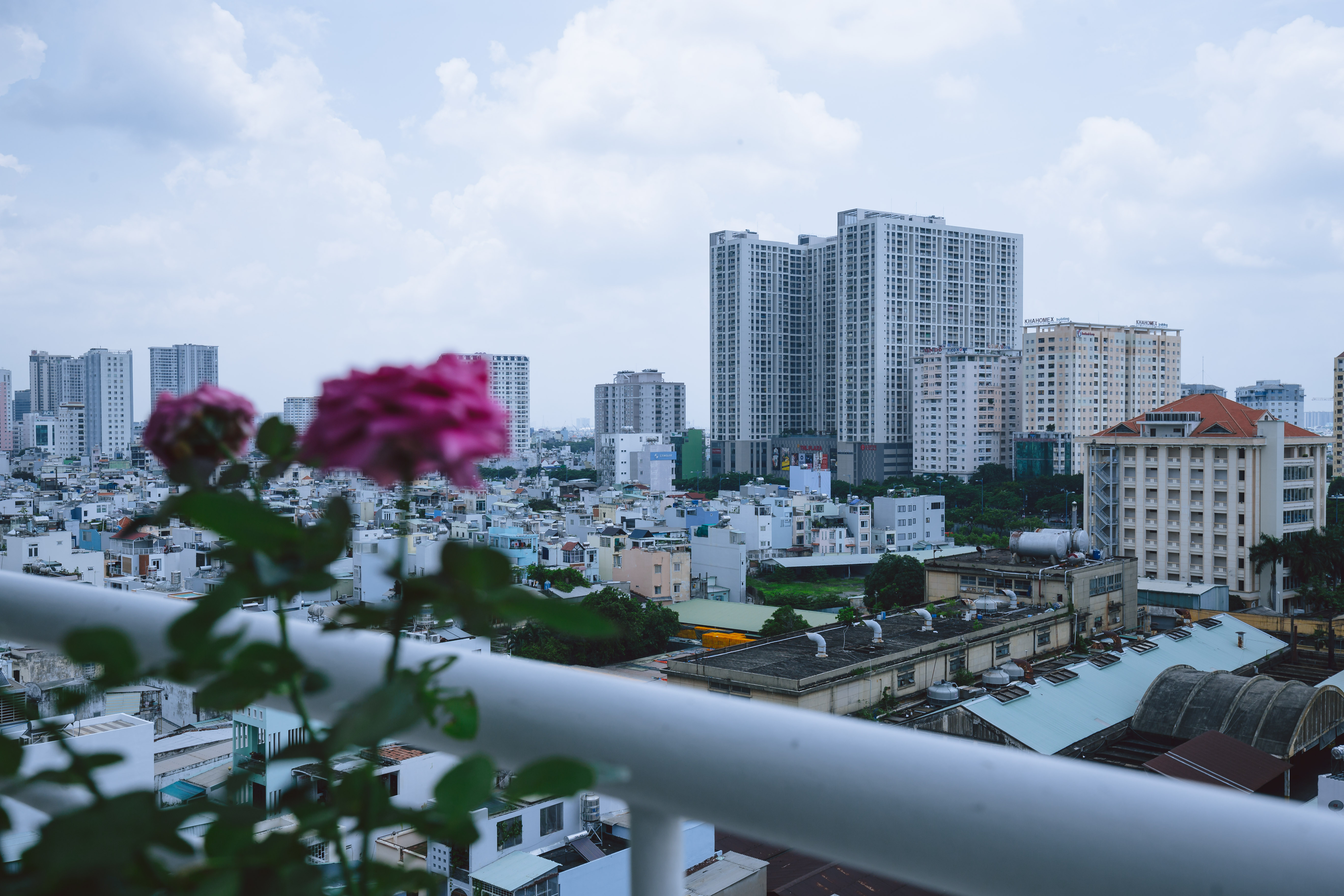 Double or Twin Executive