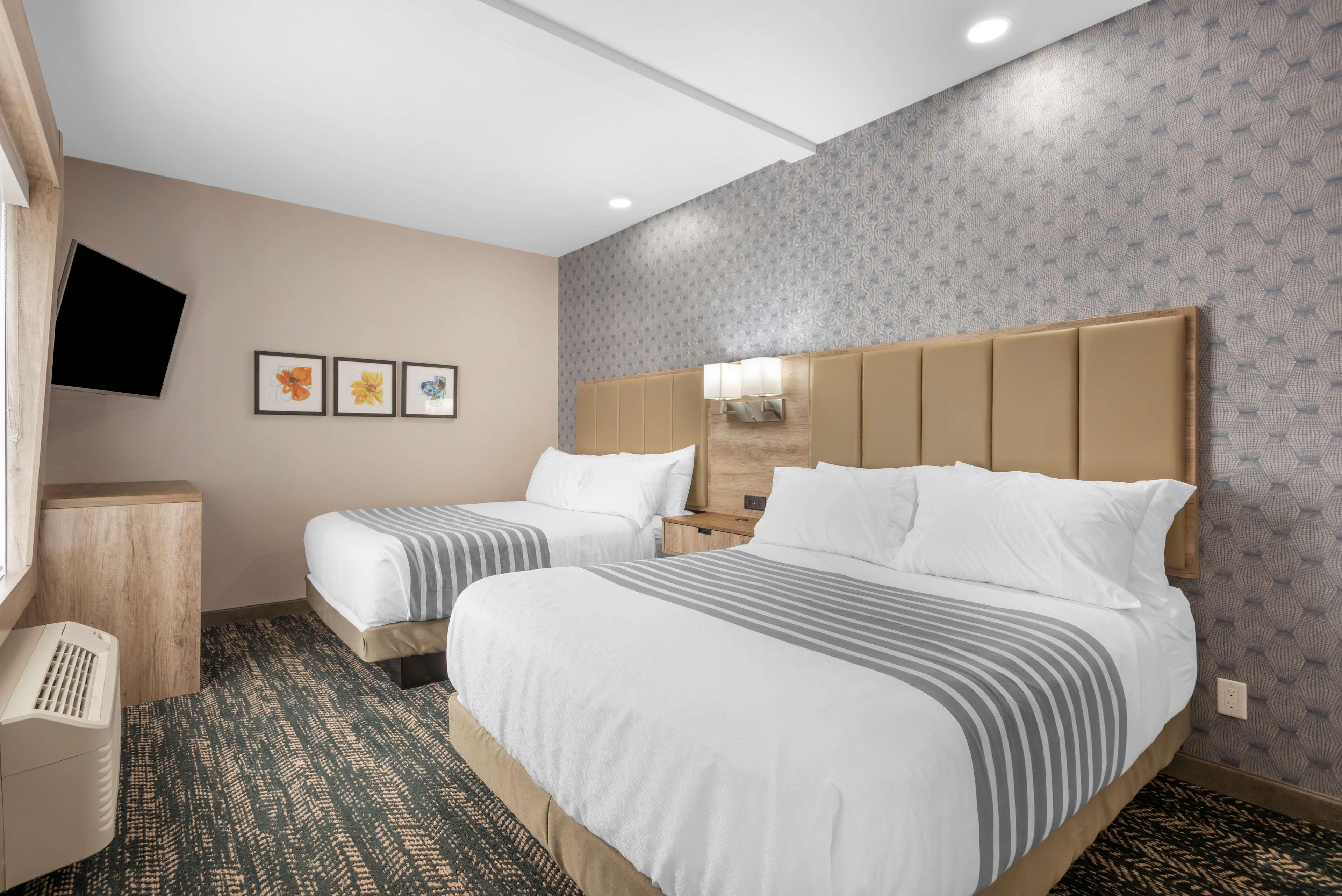 Suite Two Queen Beds