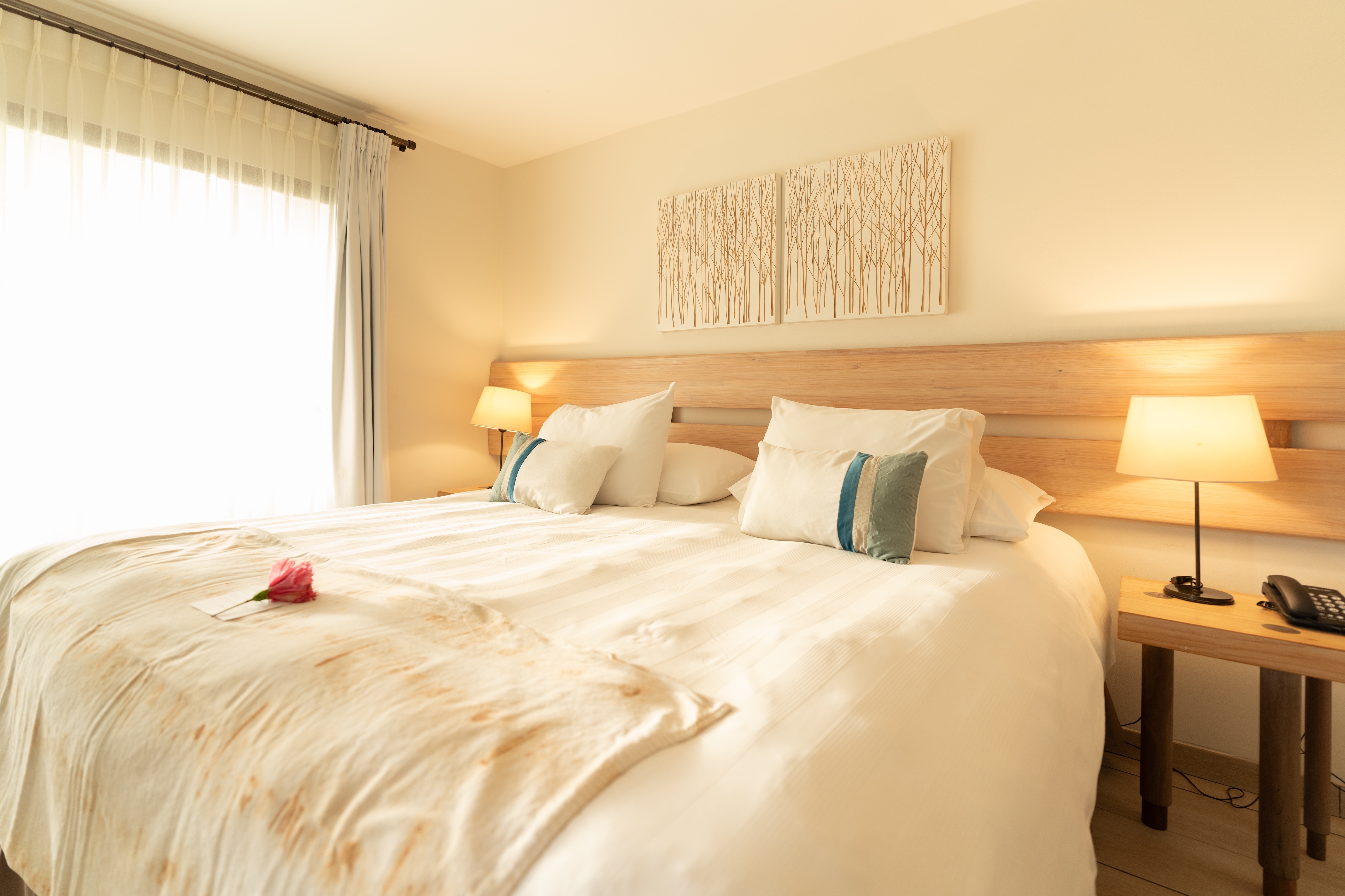 Double Deluxe King Bed