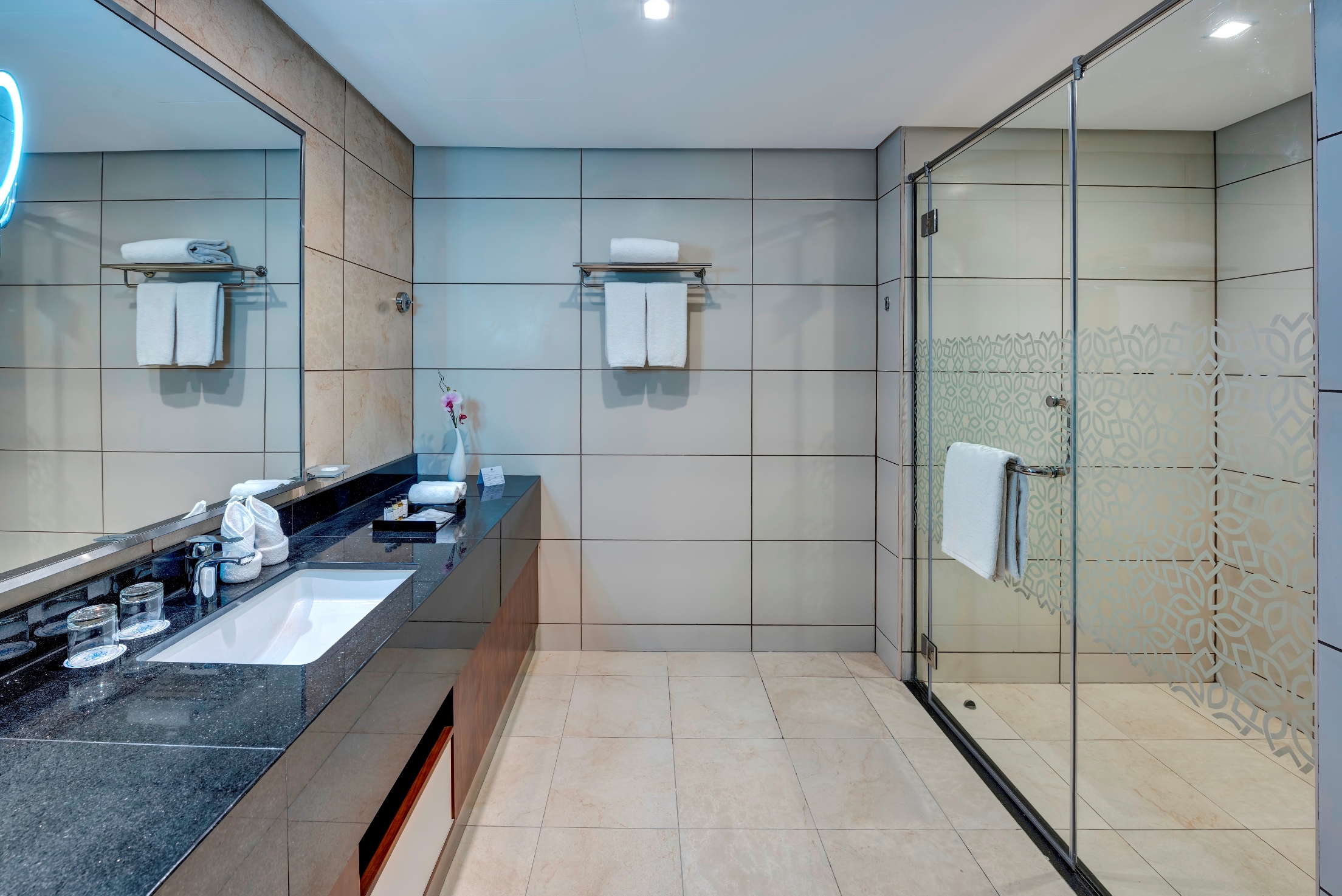 Apartment Deluxe One Bedroom