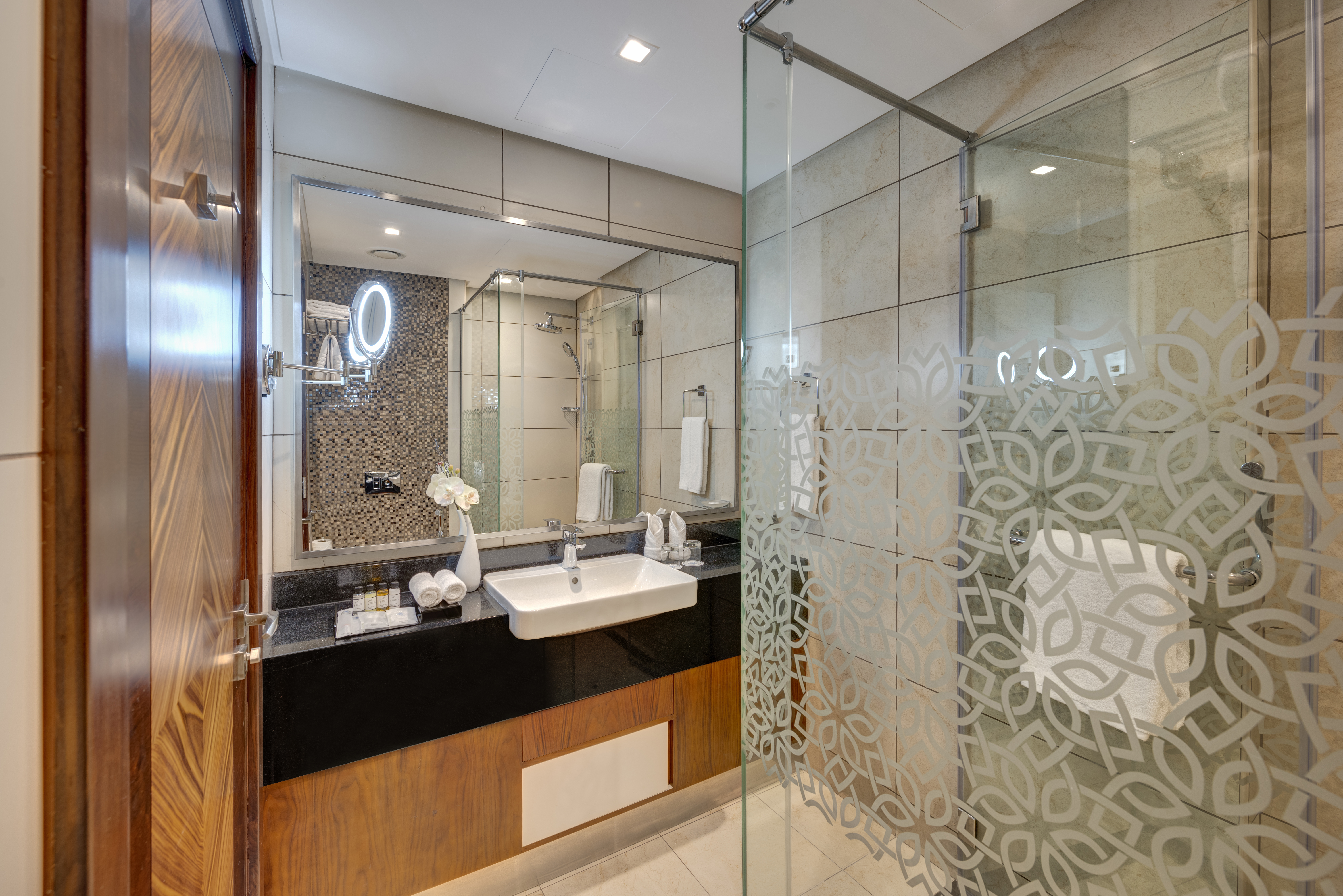 Apartment City View One Bedroom