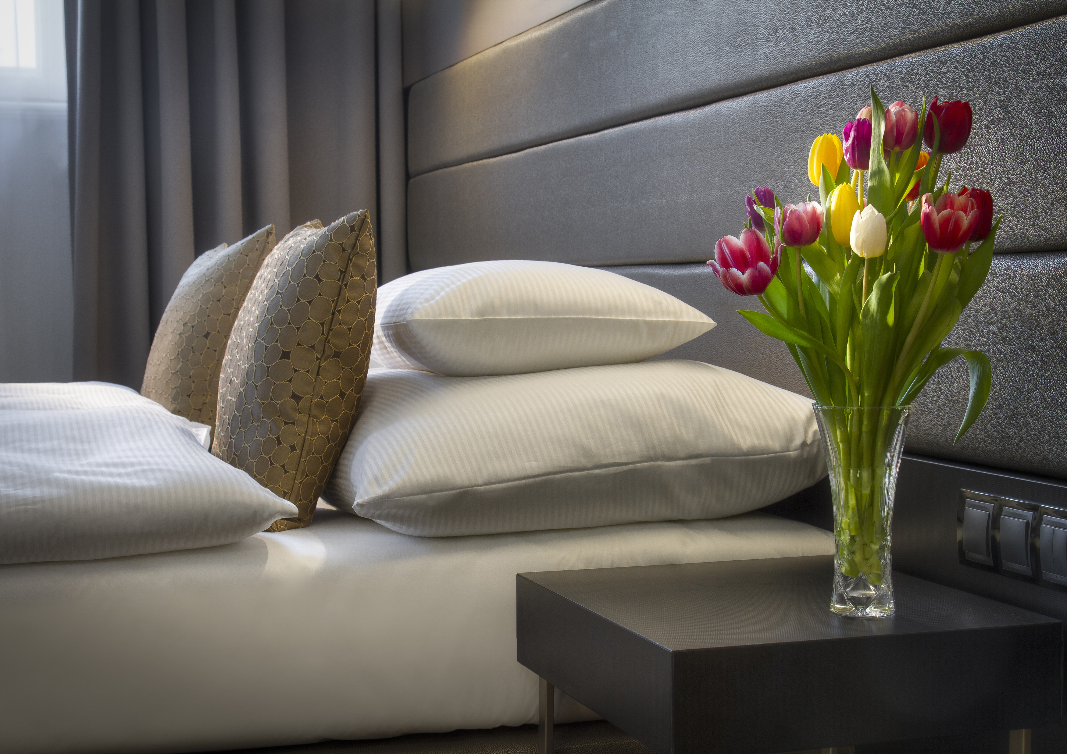 Junior Suite Capacity 3