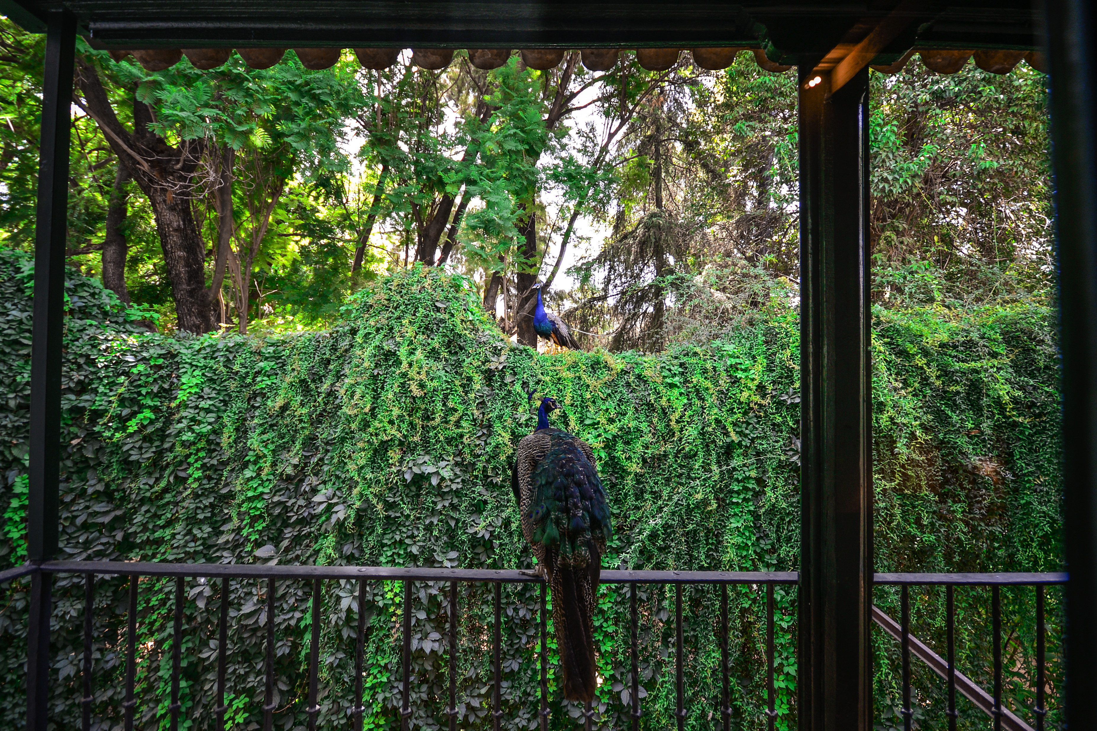 Double Deluxe One Bed