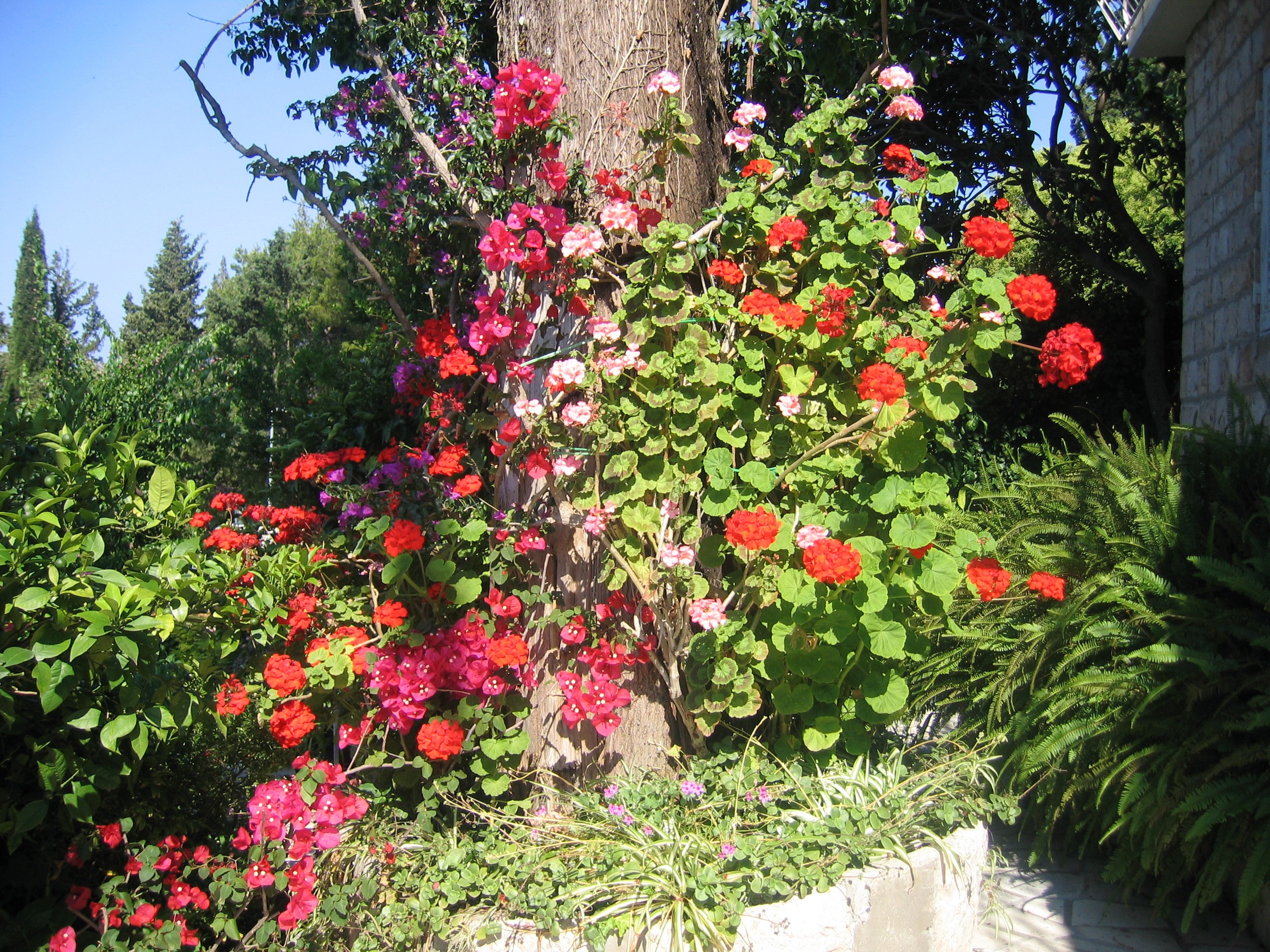 Triple Comfort Sea View