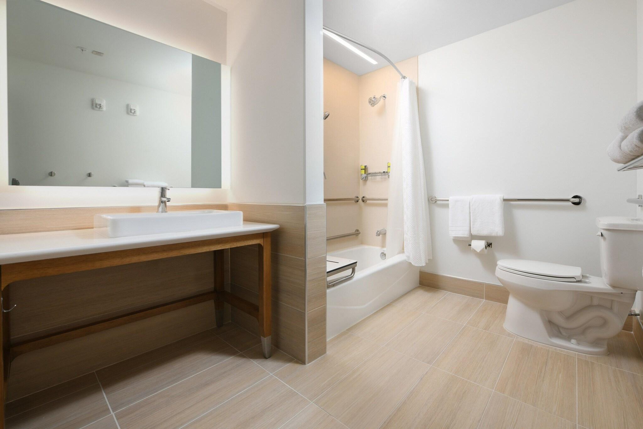 Suite King Bed One Bedroom 