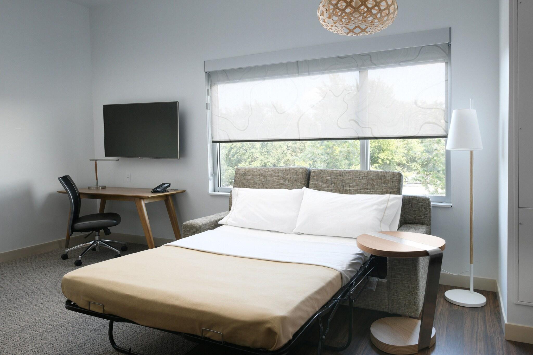 Suite King Bed One Bedroom 