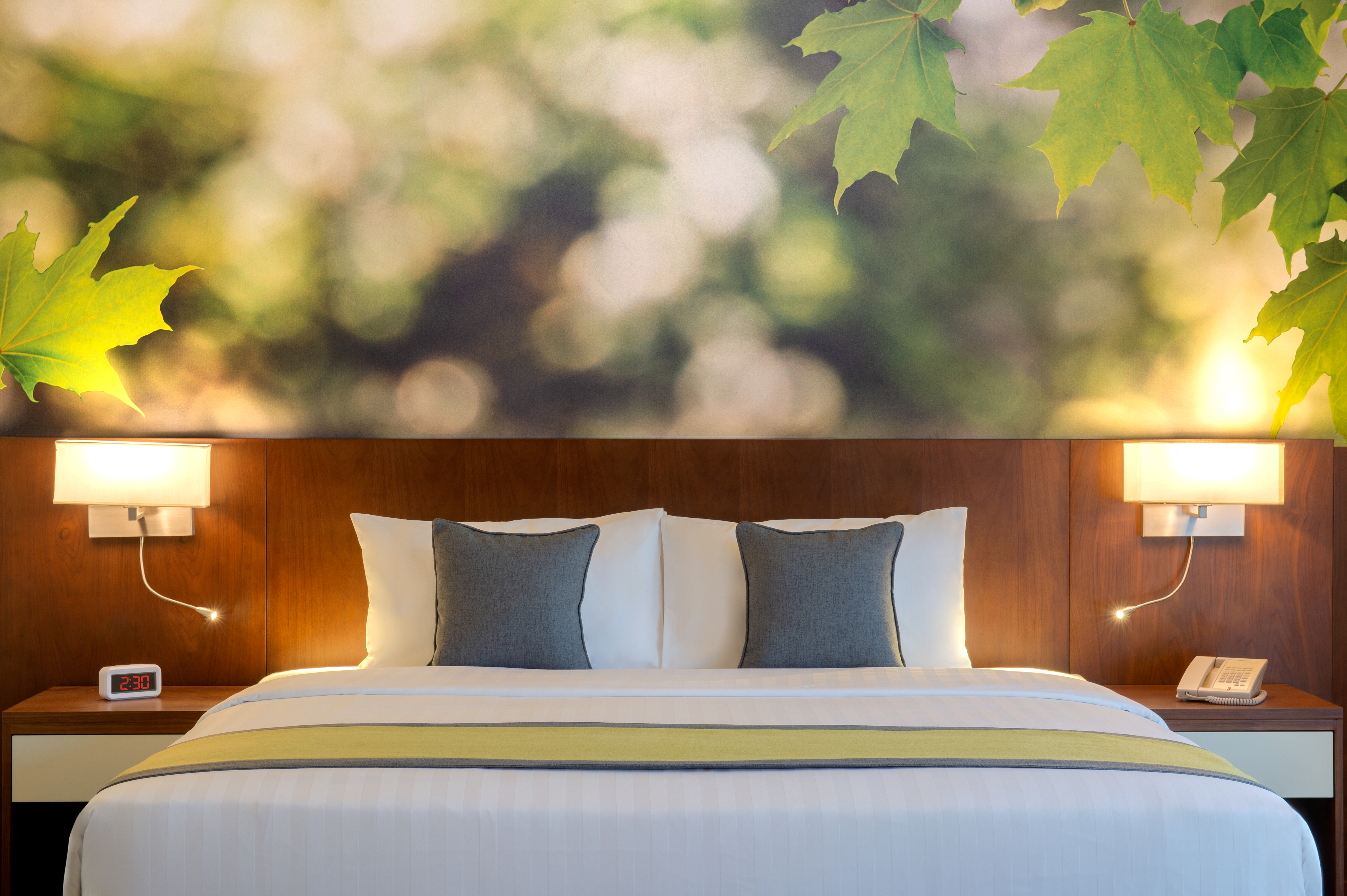 Double or Twin Standard