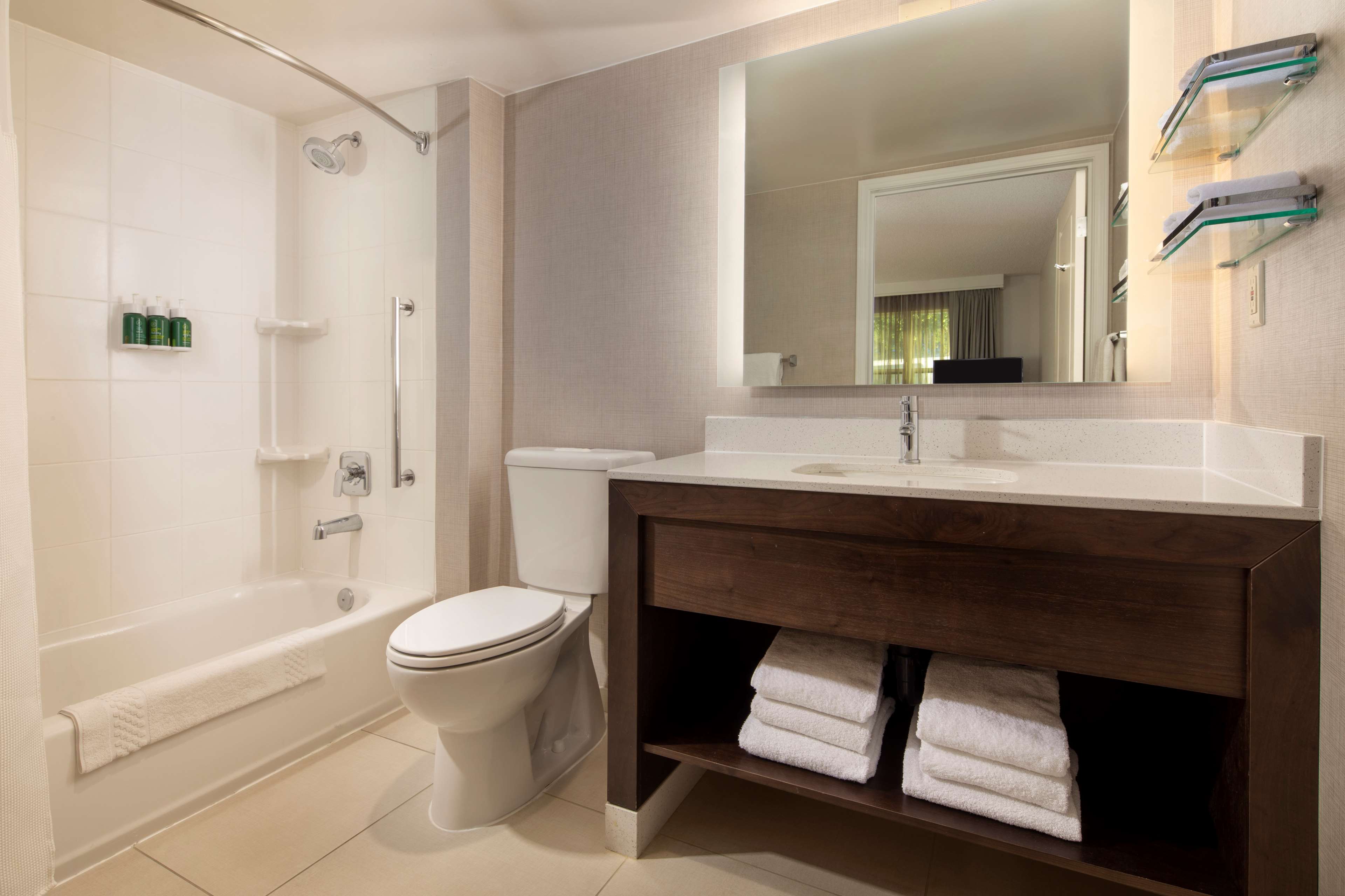 Suite Accessible-queen Size Bed