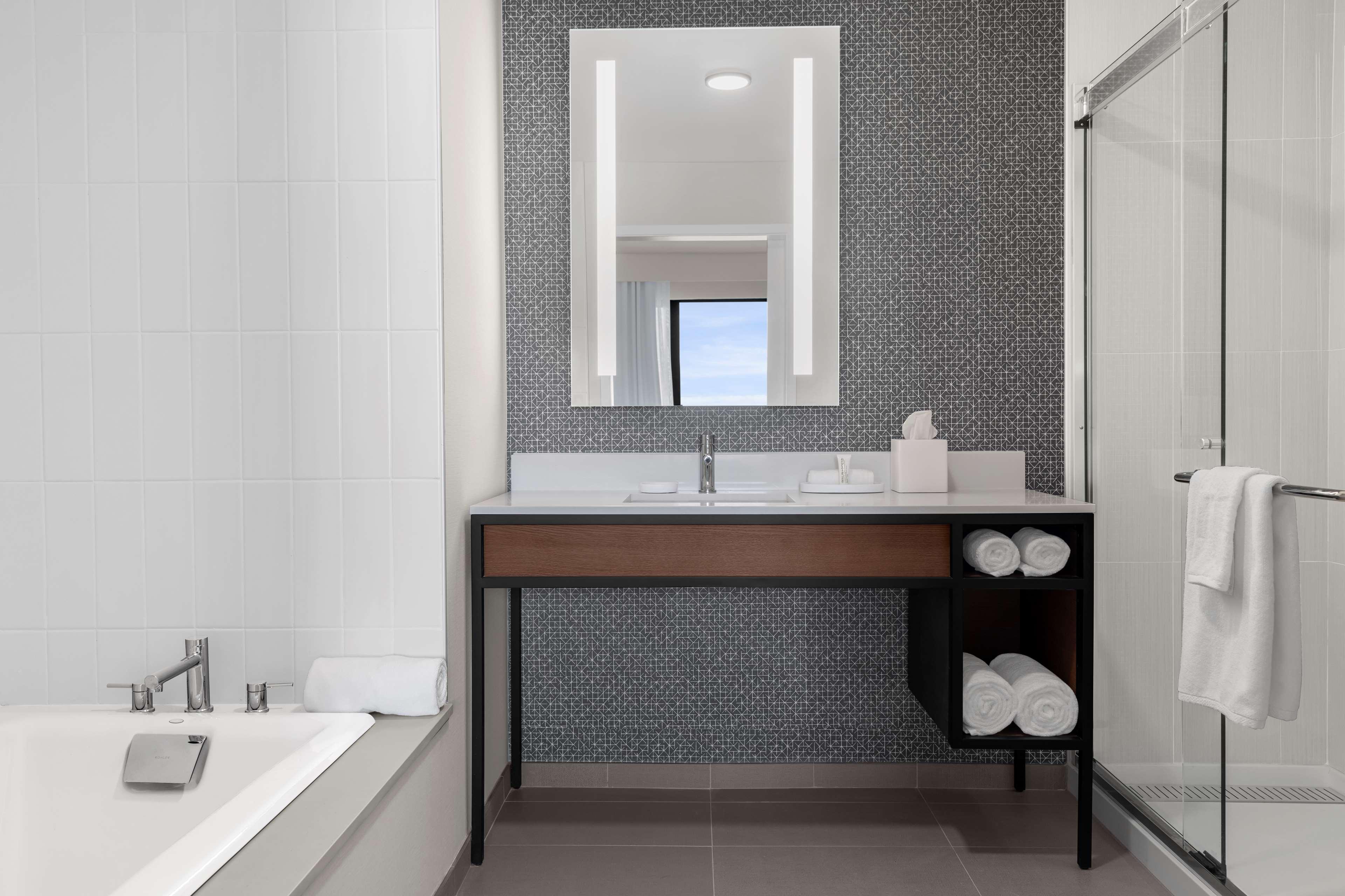 Suite King Bed One Bedroom 