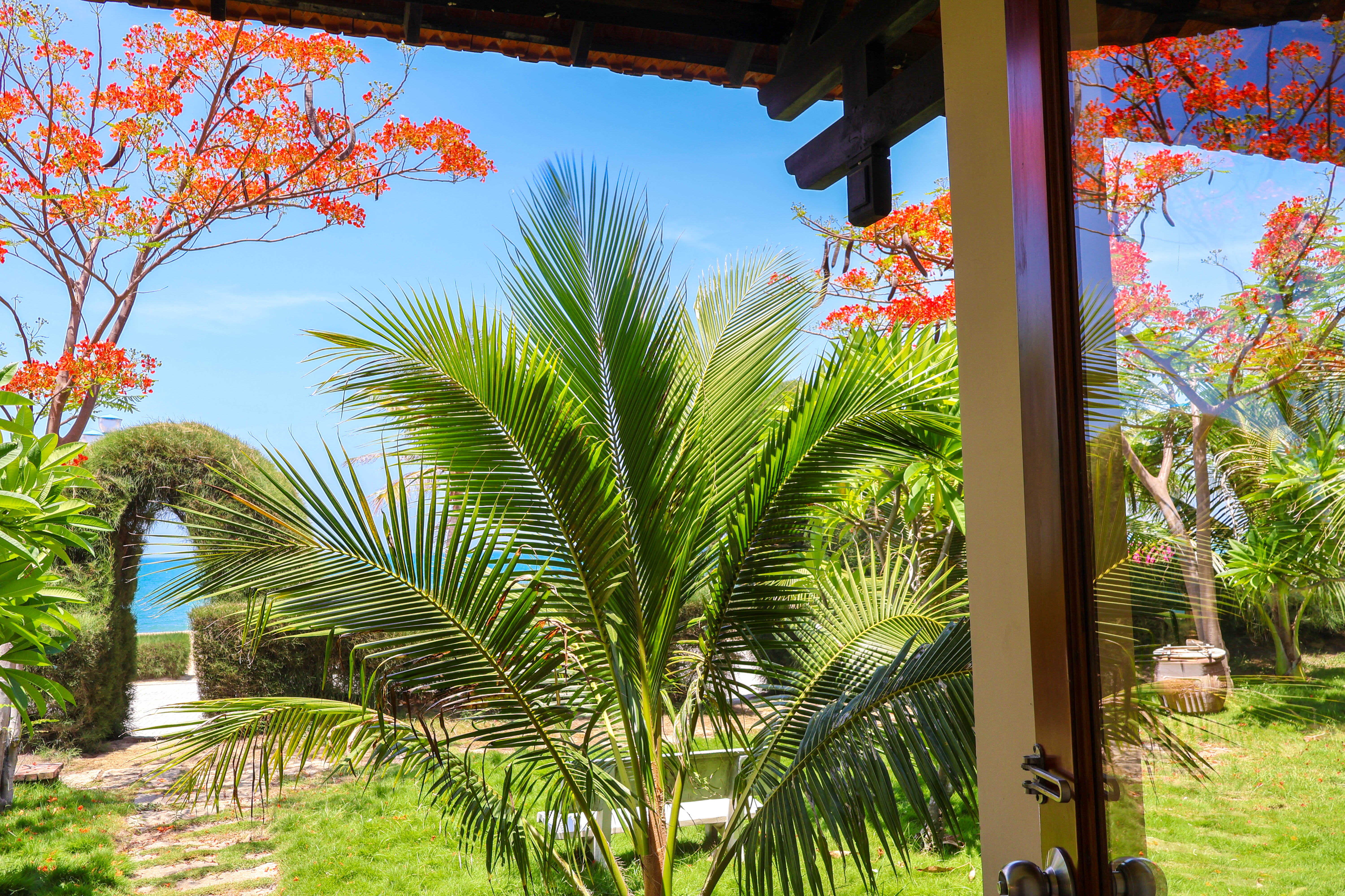 Double Deluxe Ocean View