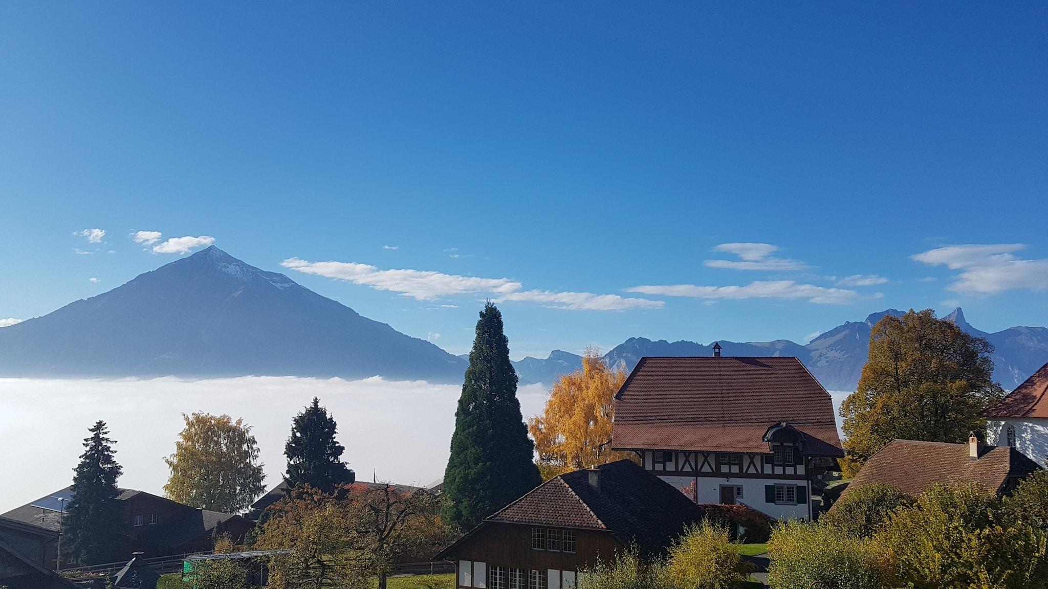 Junior Suite with Kitchenette