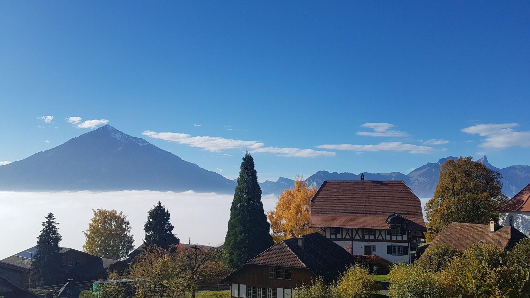 Junior Suite with Kitchenette
