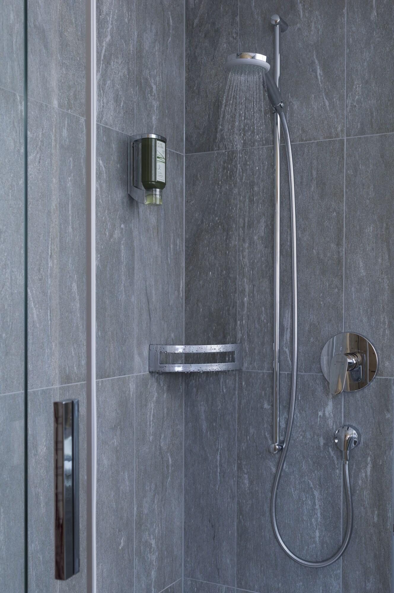 Junior Suite Mountain View