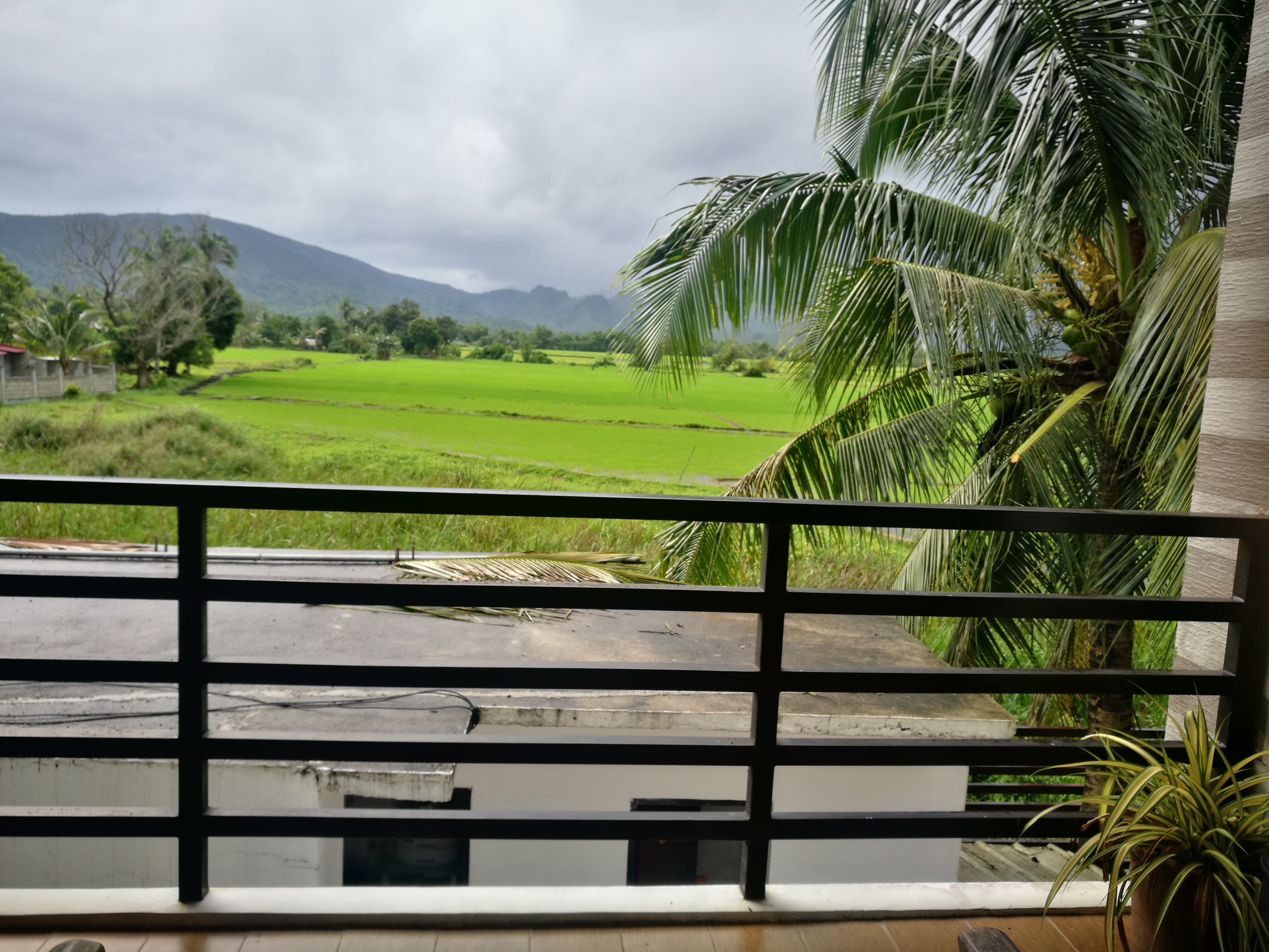 Studio Superior Mountain View