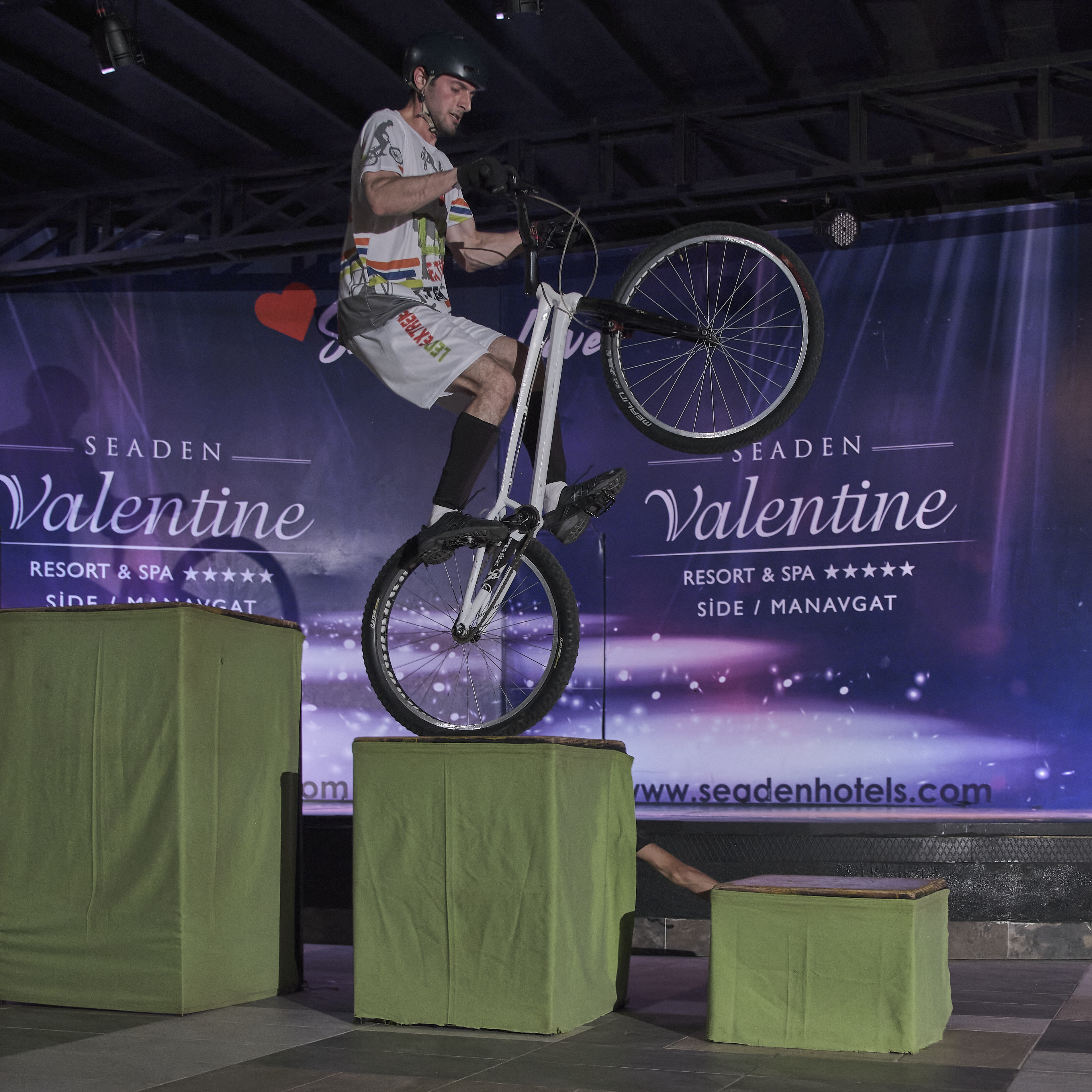 Sports and Entertainment