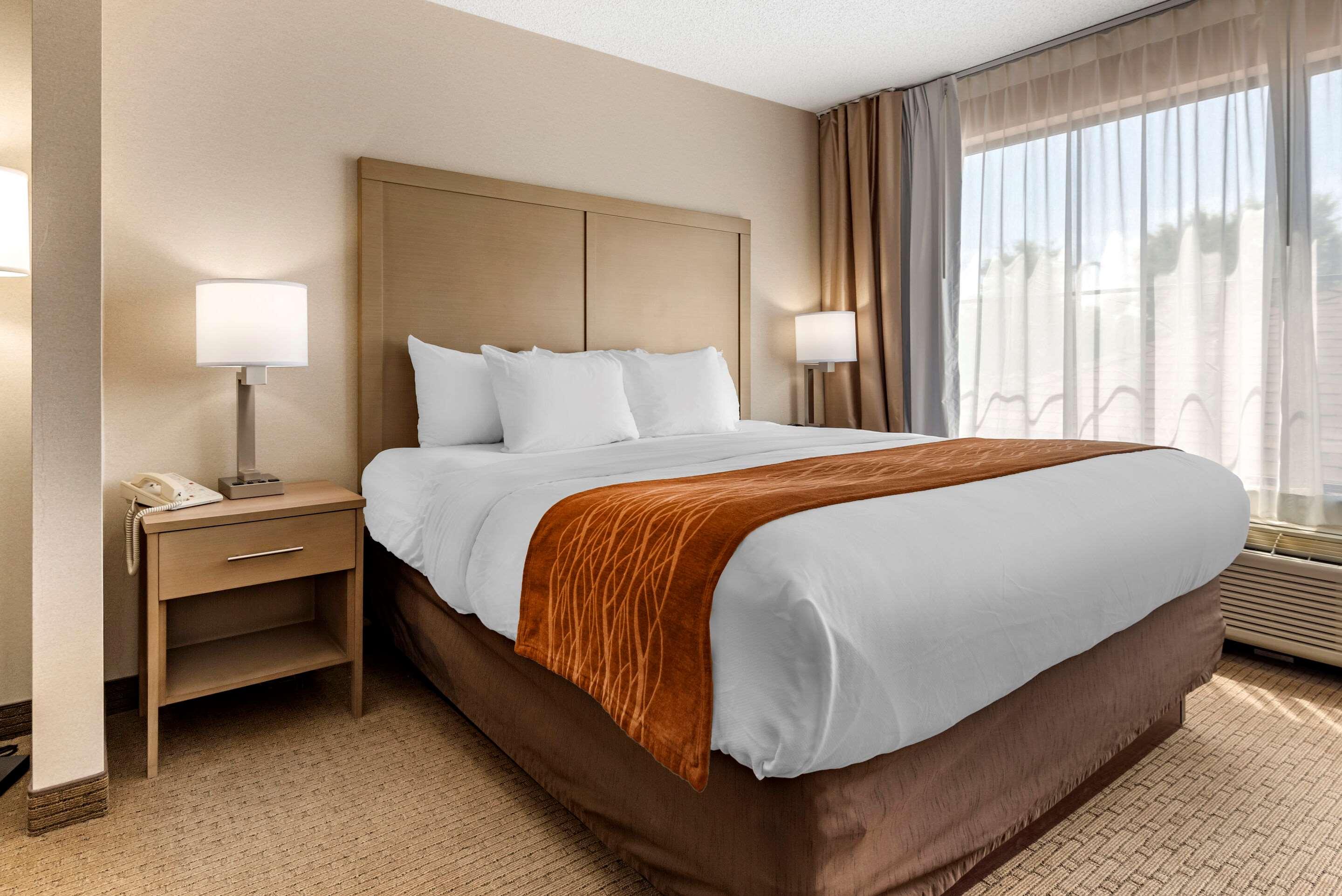 Suite King Bed Non Smoking