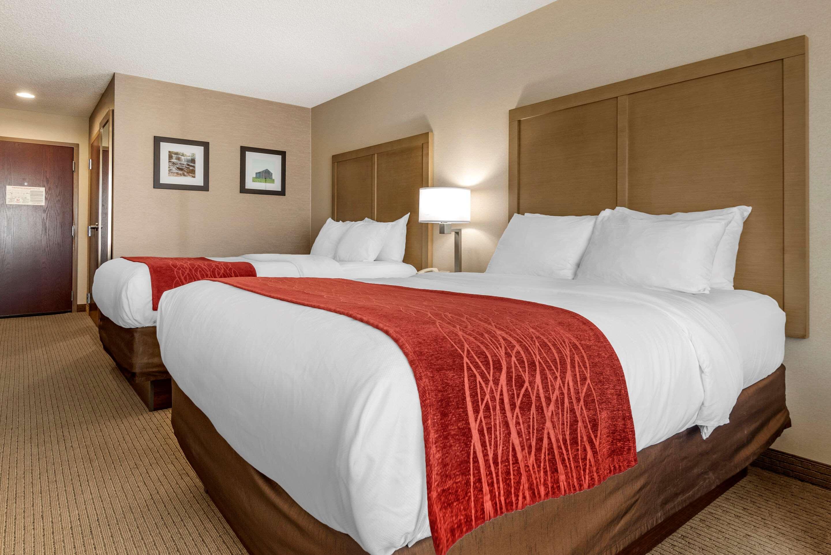 Quadruple Two Queen Beds Non Smoking