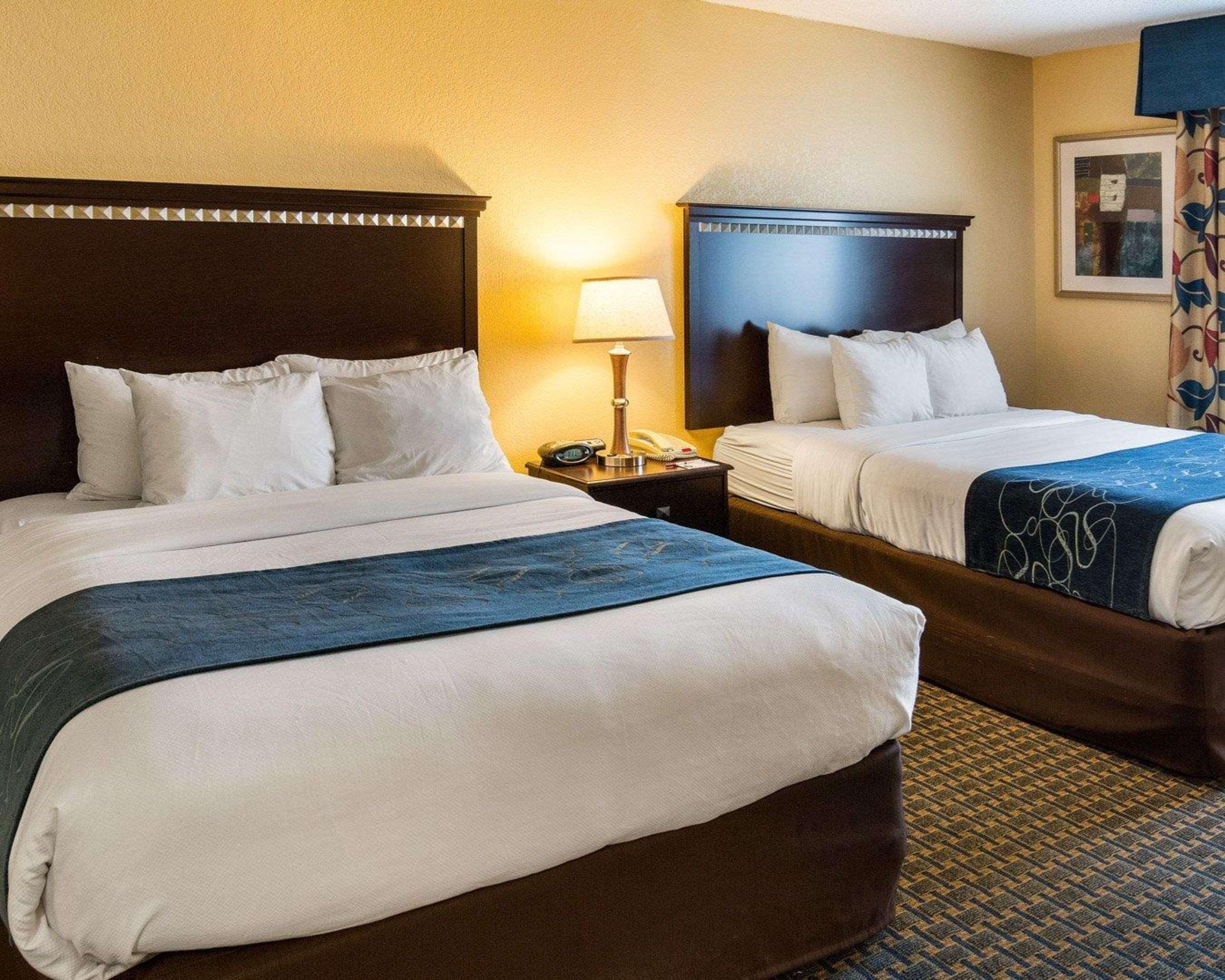 Suite Two Queen Beds