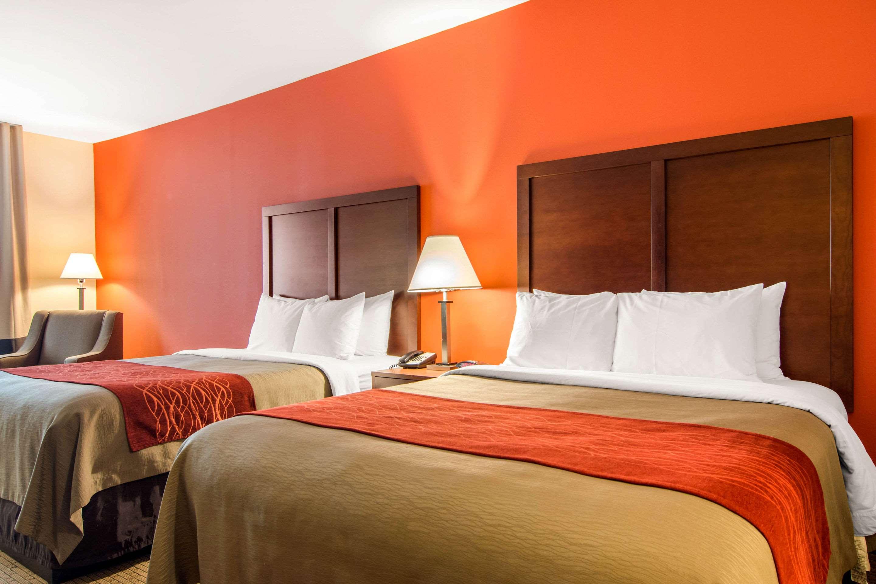 Double Two Queen Beds