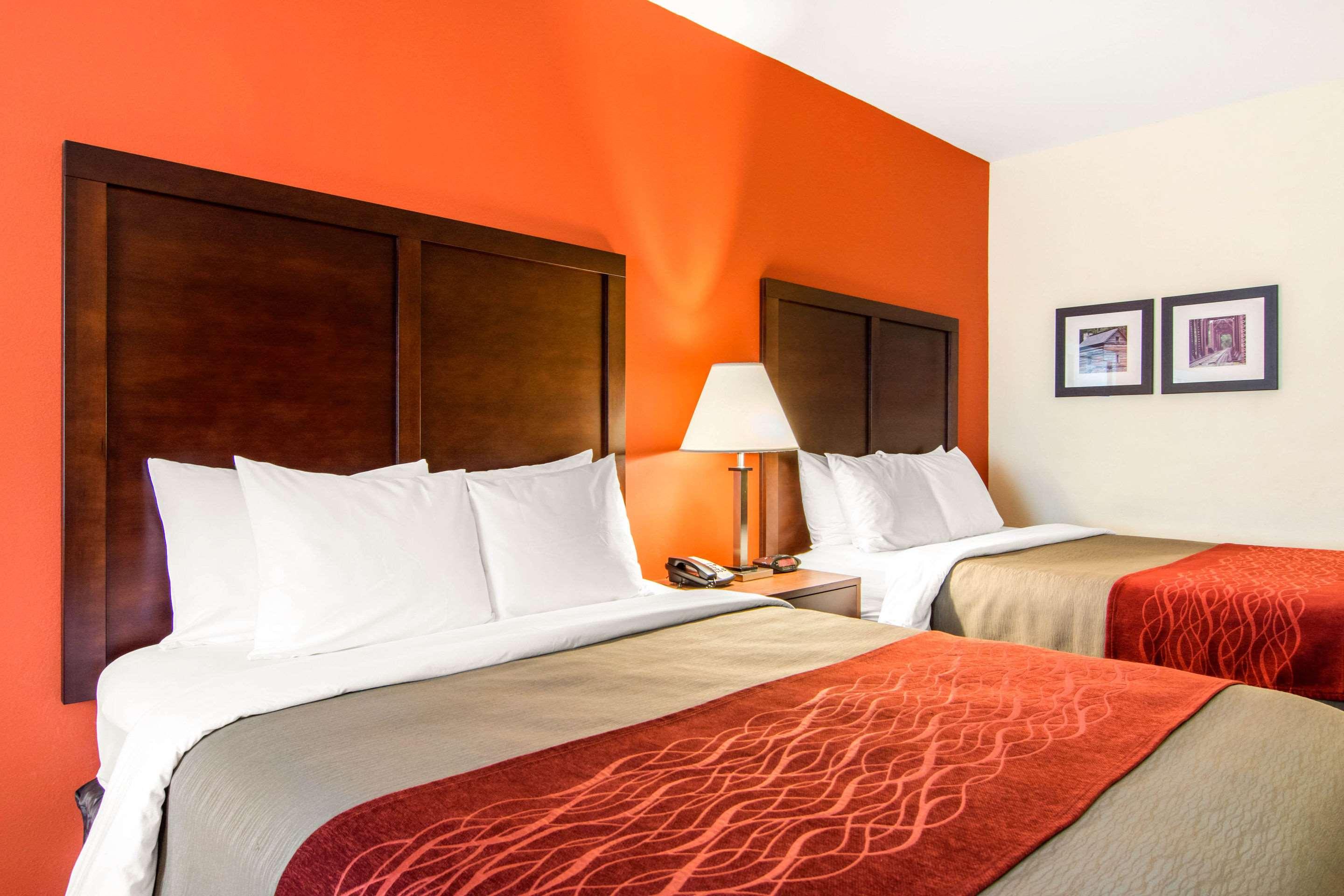 Double Two Queen Beds