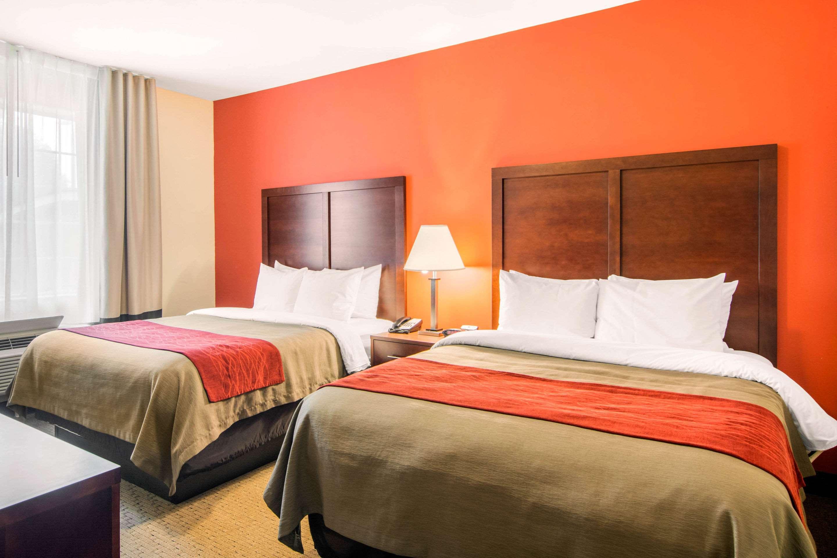 Suite Two Queen Beds