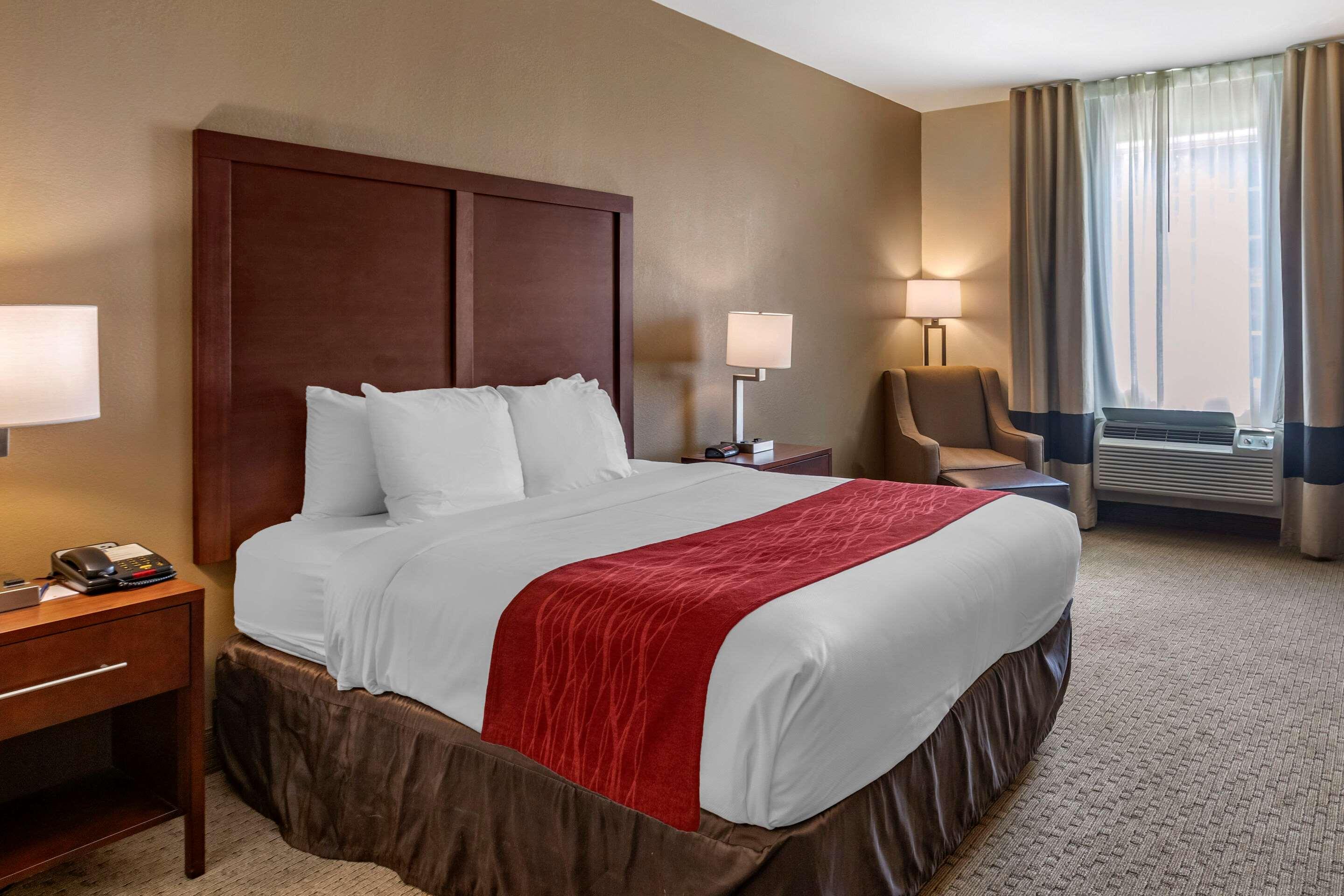 Double Queen Size Bed