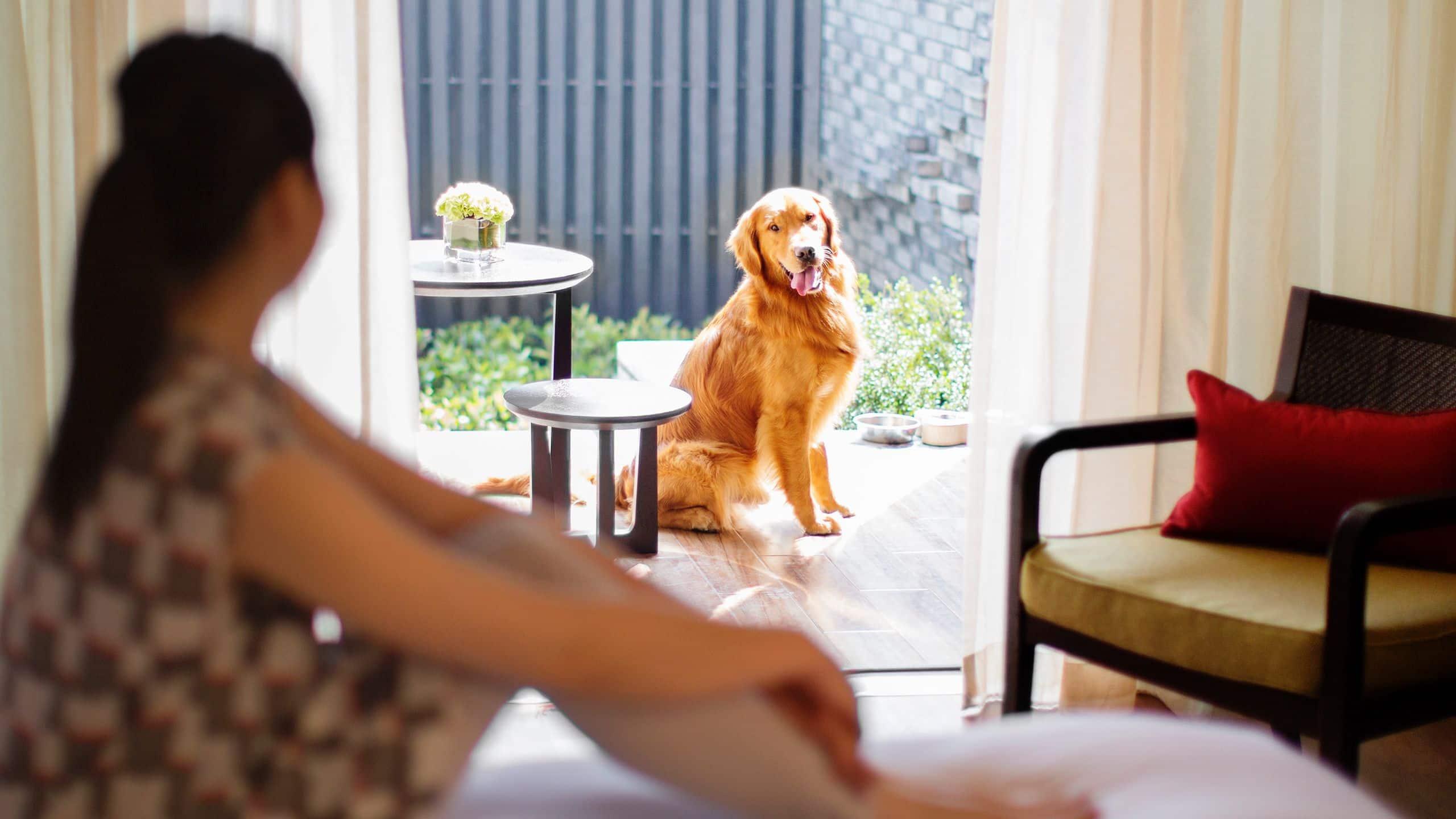 Double Club King Bed