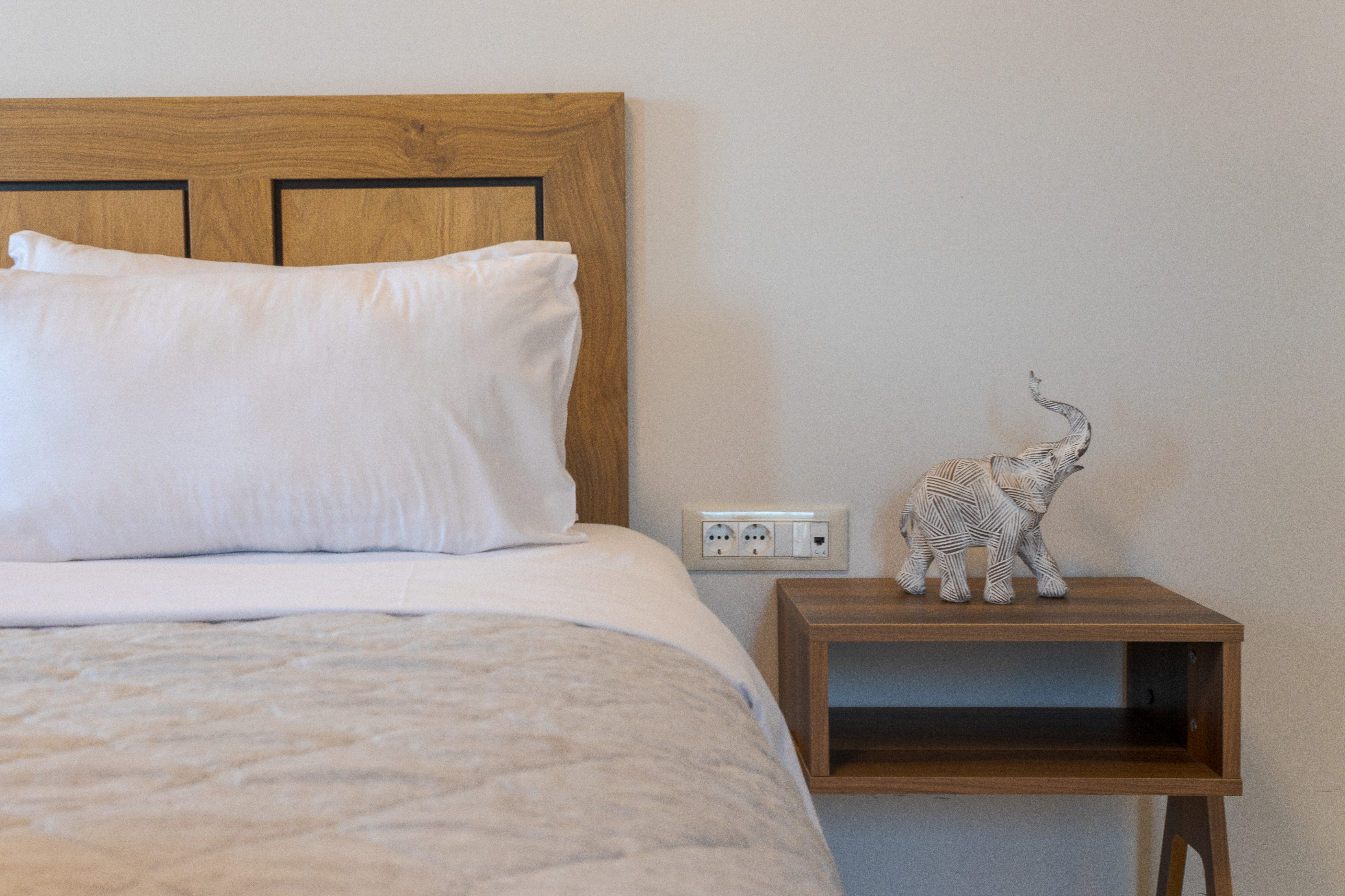 Studio Deluxe Capacity 2