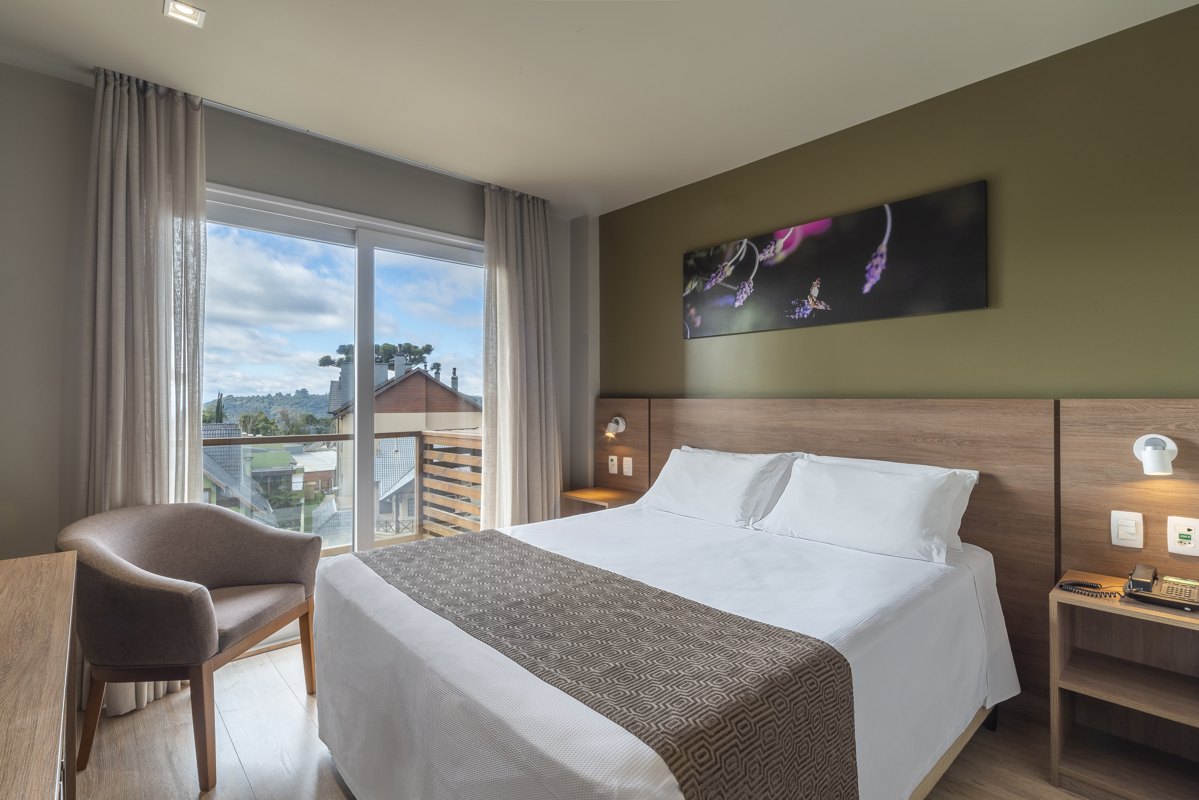 Single Mountain View